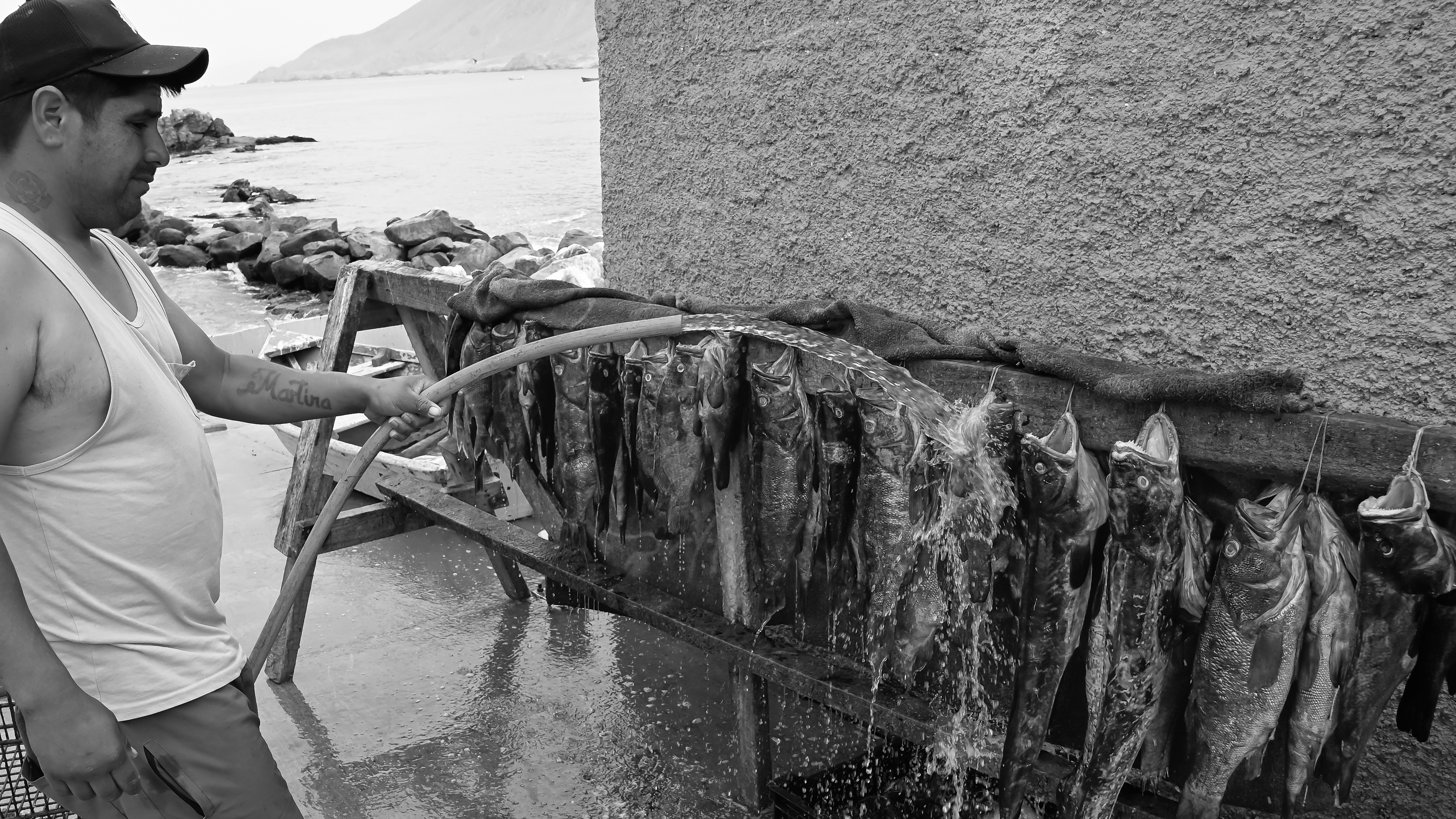 Fisherman, Tal Tal Coast, 2026