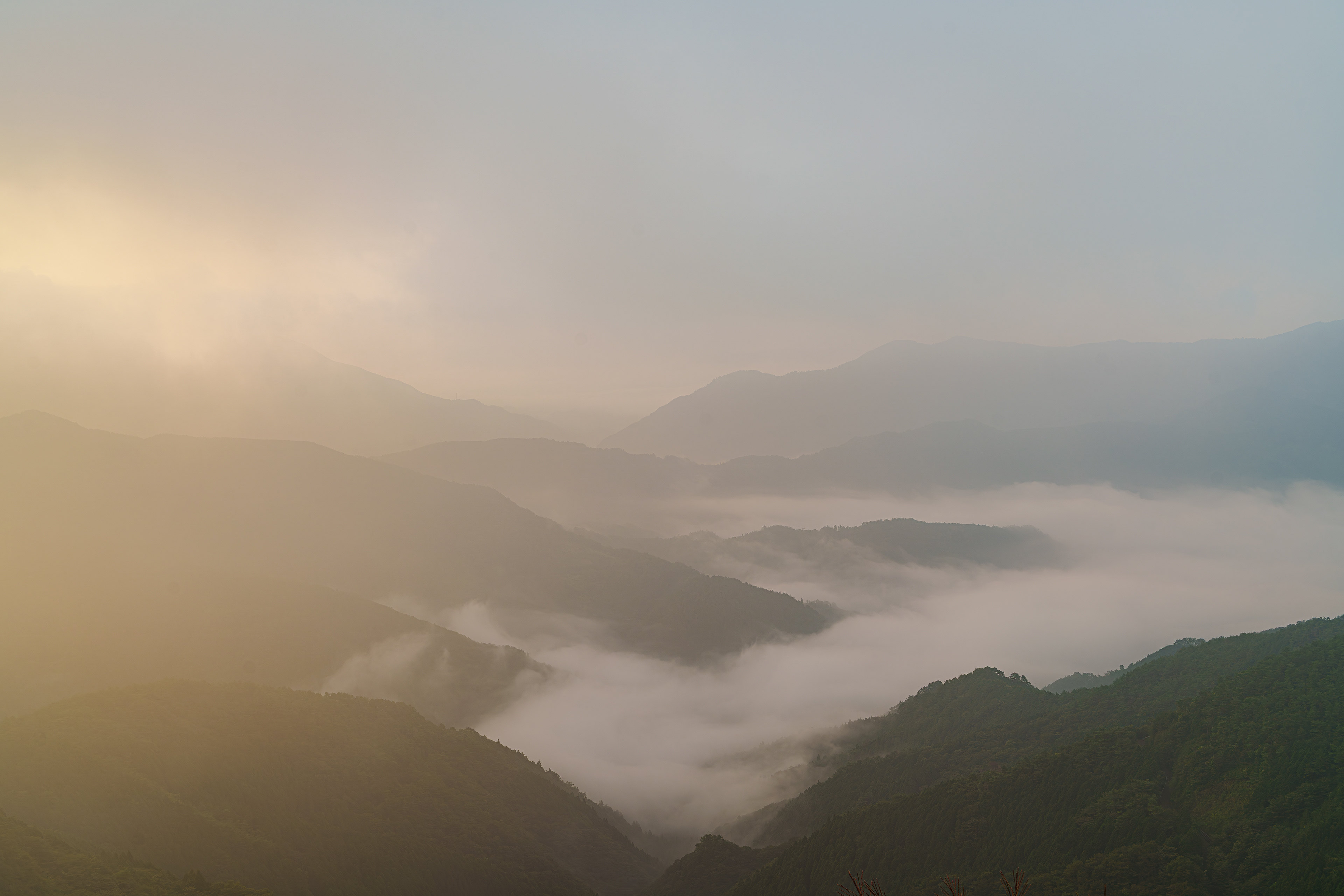 2年程前から計画しては悪天候で延期を繰り返していた四国カルスト。予報では曇り晴れだったがほとんどの時間ガスに覆われていた。たまに青空が見えても黄砂の時のように霞んでいた。星が綺麗なのが有名なので夜中に晴れる事を期待して1時頃に外に出ると満天までじゃなかったが眺められた。朝陽を期待して5時に起きるが外は真っ白。それでも5時半頃になると明るくなり始めたので前日に決めていた場所まで行くとガスが抜ける瞬間が何度か訪れたのでシャッターを切った。谷は雲海になり雲で覆われながらも朝陽が淡い色で包む。  08/26/2025　四国カルスト