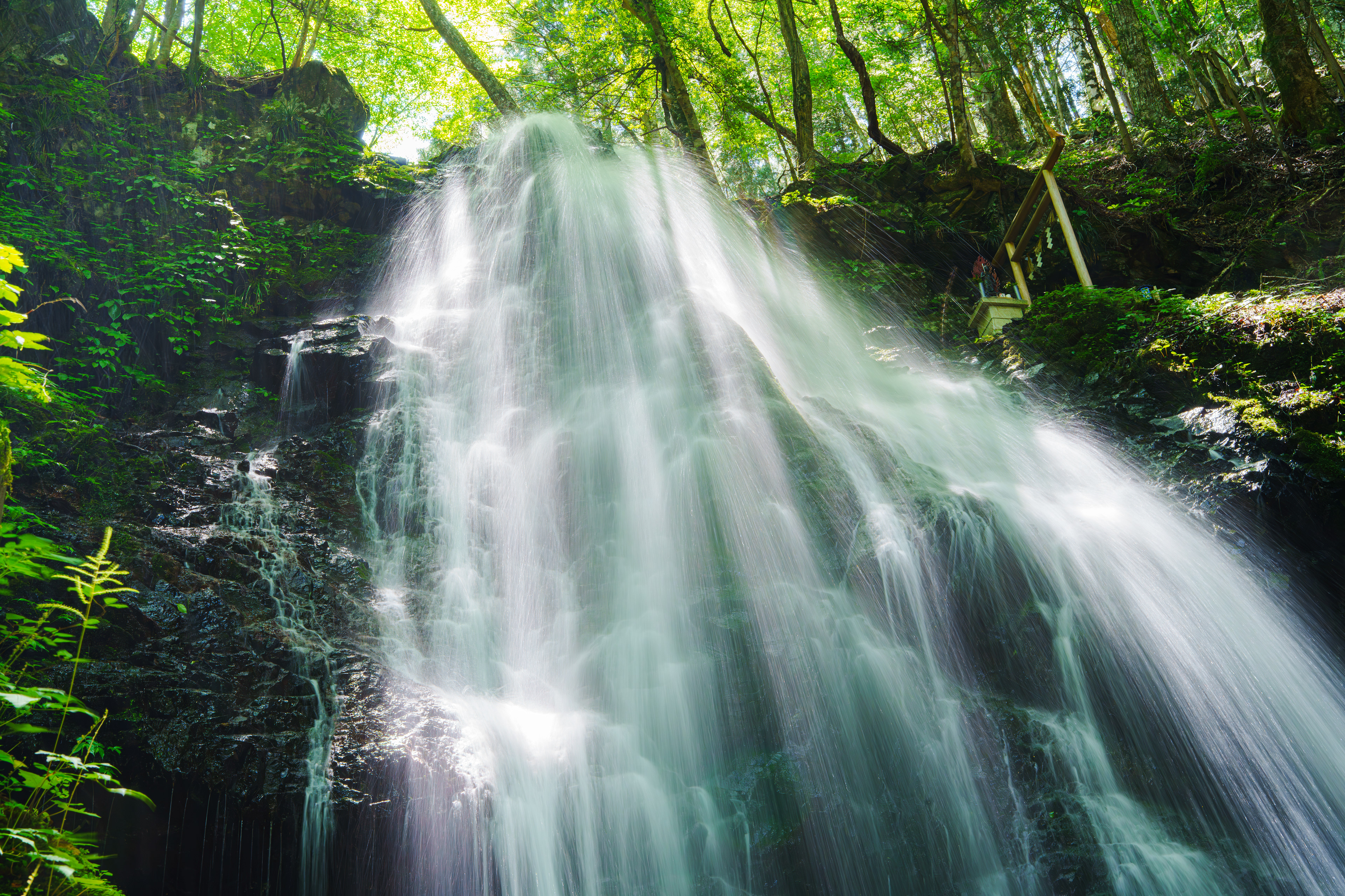 帰りは不動滝ルートで下山。陽が昇ると気温は一気に上昇しさっきまでライトダウンを着てたのが嘘のよう。汗をかきながら歩いた。不動滝に着いたとき、ちょうど陽の光が真上から照らす時間だった。新緑の葉っぱを通した緑の光が滝を輝かせていた。 06/05/2025　不動滝