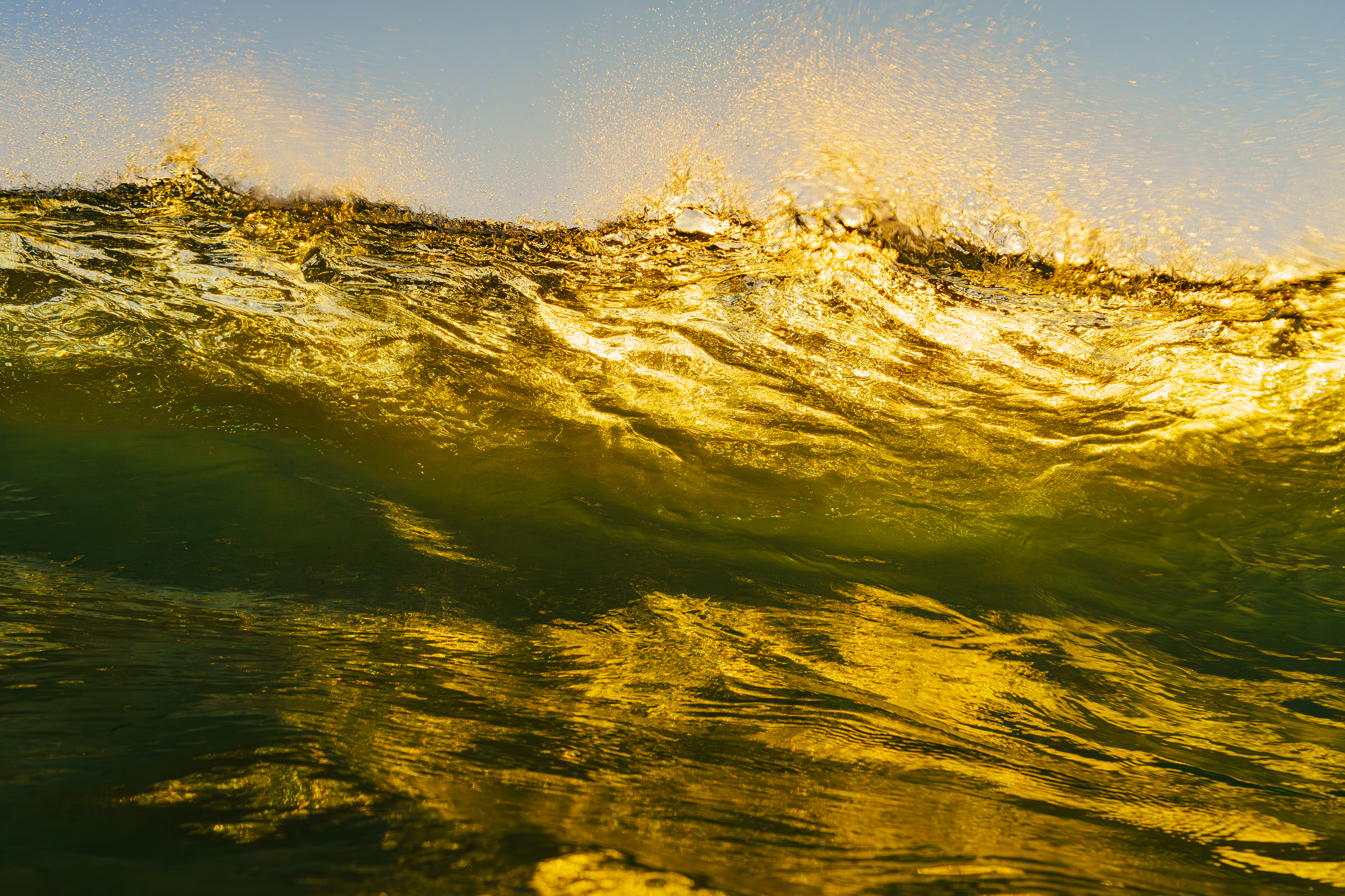 ボトムで構えてRipと陽の光が重なる一枚。 2025/11/14　Shikoku (1/1000sec F7.1 ISO800 40mm)​​​​​​​