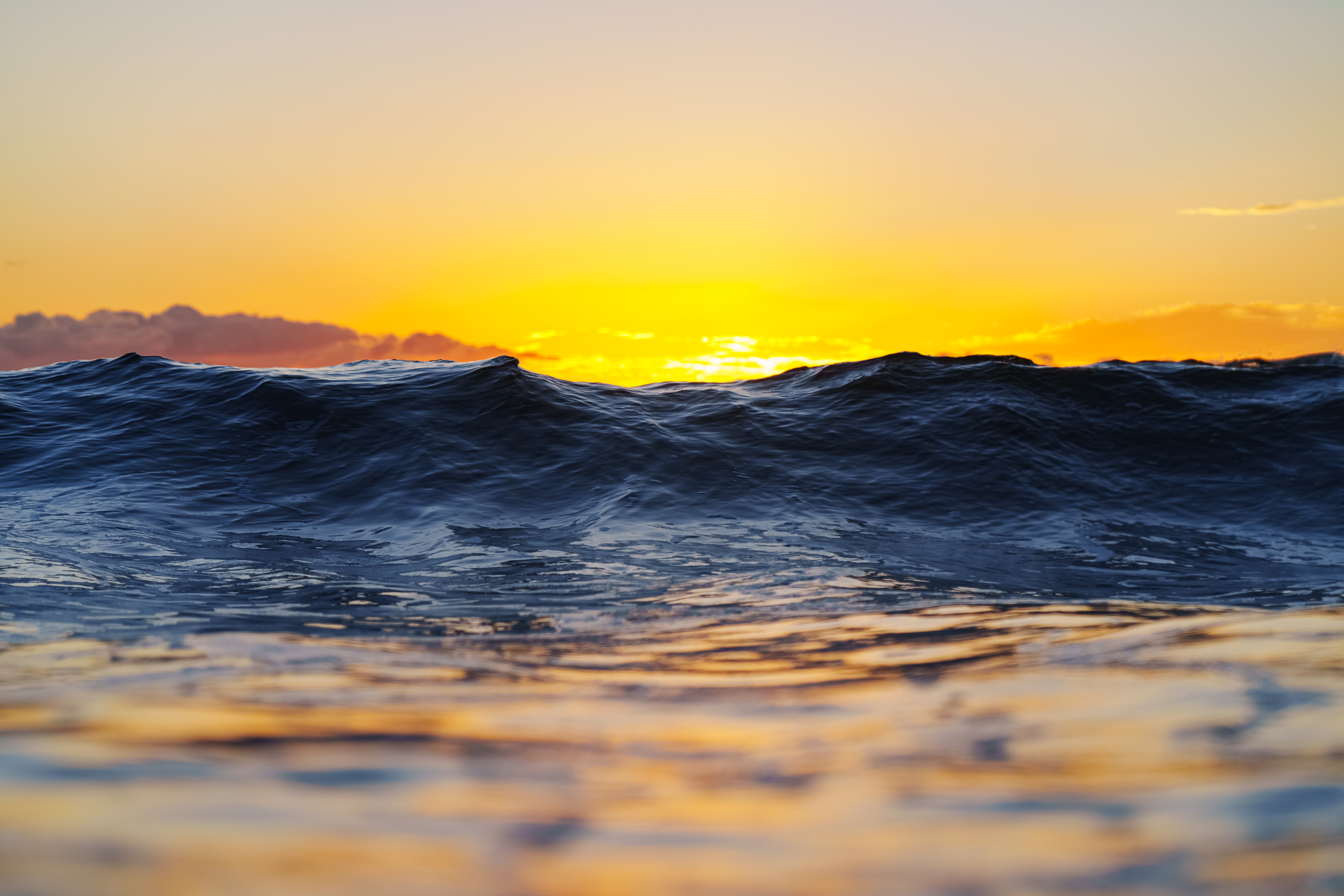 前日は肩頭サイズまで上がっていたが、夜から北西の風が吹いた影響で腰胸サイズまでダウンしていた。面にも影響がありバラついたまとまりの無い波。大阪を出るときに強い北風が吹いていたので「もしや日本海！？」と思う程だった。到着すると空は星が輝いていた。天気が良いので薄暗い中着替え、陽が昇る前から海に入った。数分後に空が焼けだした。空は黄金に輝き、波は山の峰々のように構え、海面は空を反射してオレンジ色に変化してキラキラと映しだしていた。美しい。  2025/10/17　 Shikoku   (1/1250sec f3,5 ISO2000 85mm)