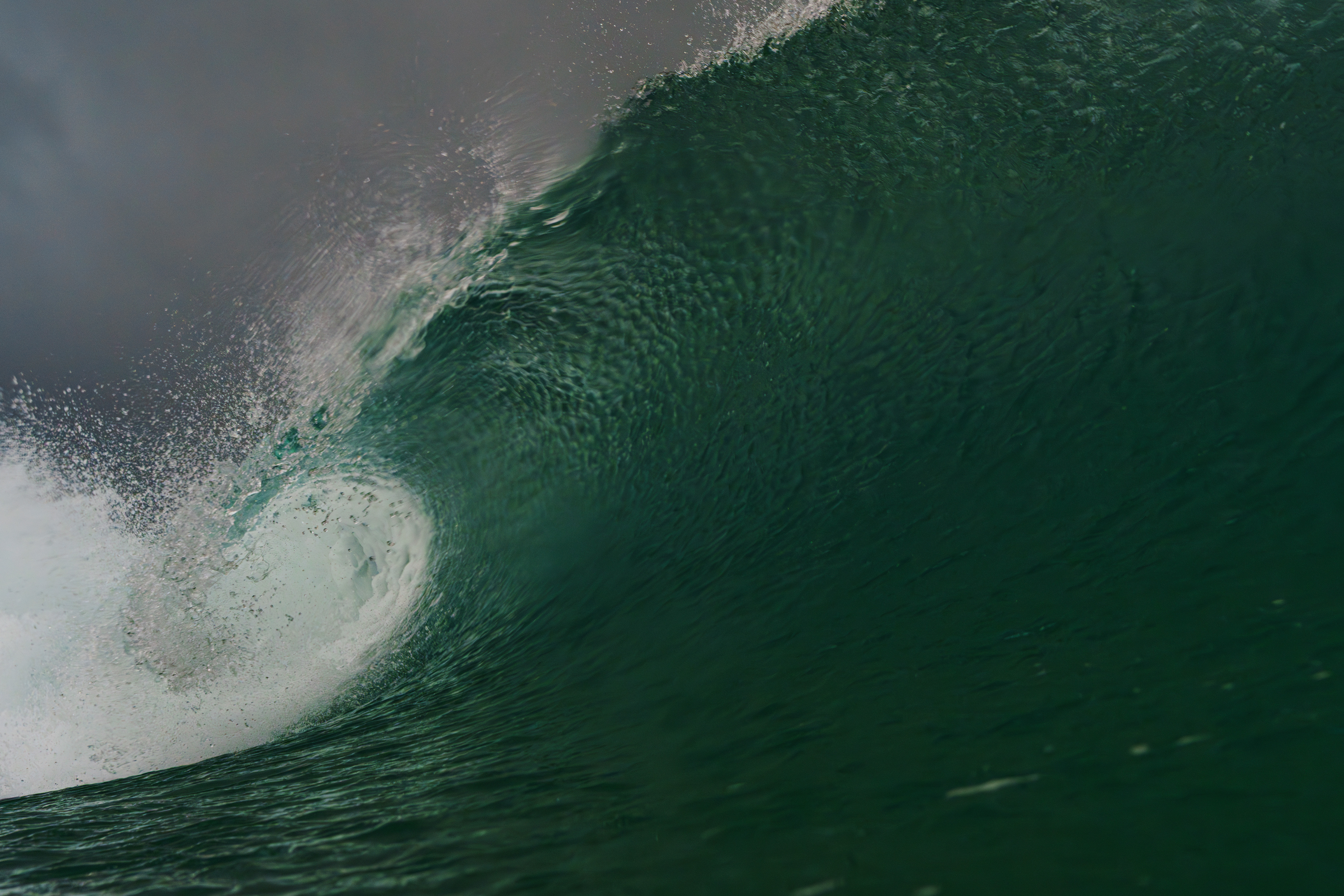 青空が見えていると思っていたら薄雲に覆われ、10分後には暗くなり雨が降り出し風も強くなってきた。前を見ているのが辛いぐらい。15分後にはまた青空が見えたりと目まぐるし変わる冬型の日本海らしい天気。  2025/12/05　Fukui (1/1250sec F10 ISO800 40mm)