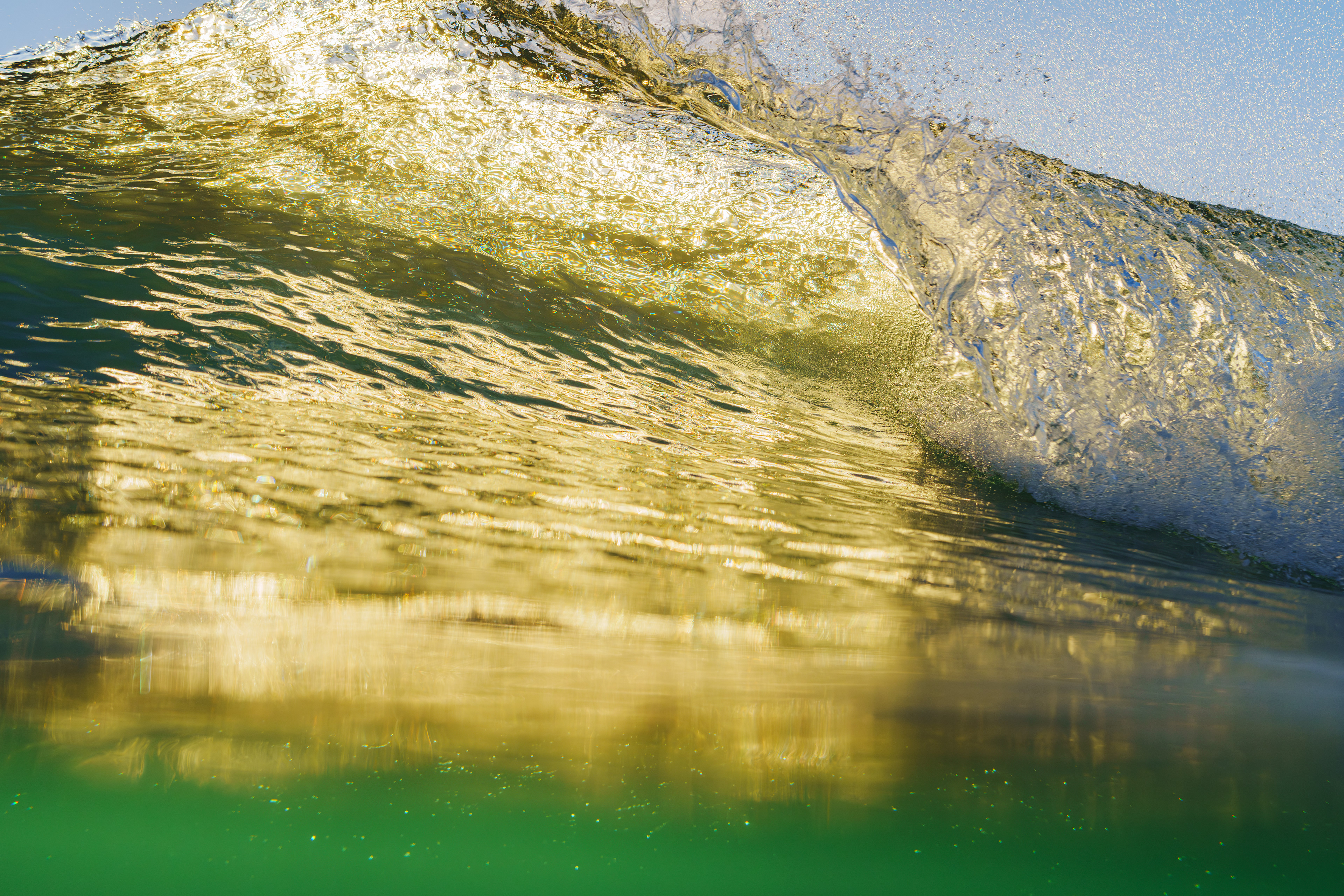 朝陽の角度が上がってきたので下からの撮影に切り替えた。波全体を撮るか少し水中を入れて撮るか悩んだ。この時間しか見れない光の差し込んだ緑色の水中。  2025/12/22　Kochi (1/1250sec F5.0 ISO800 40mm)