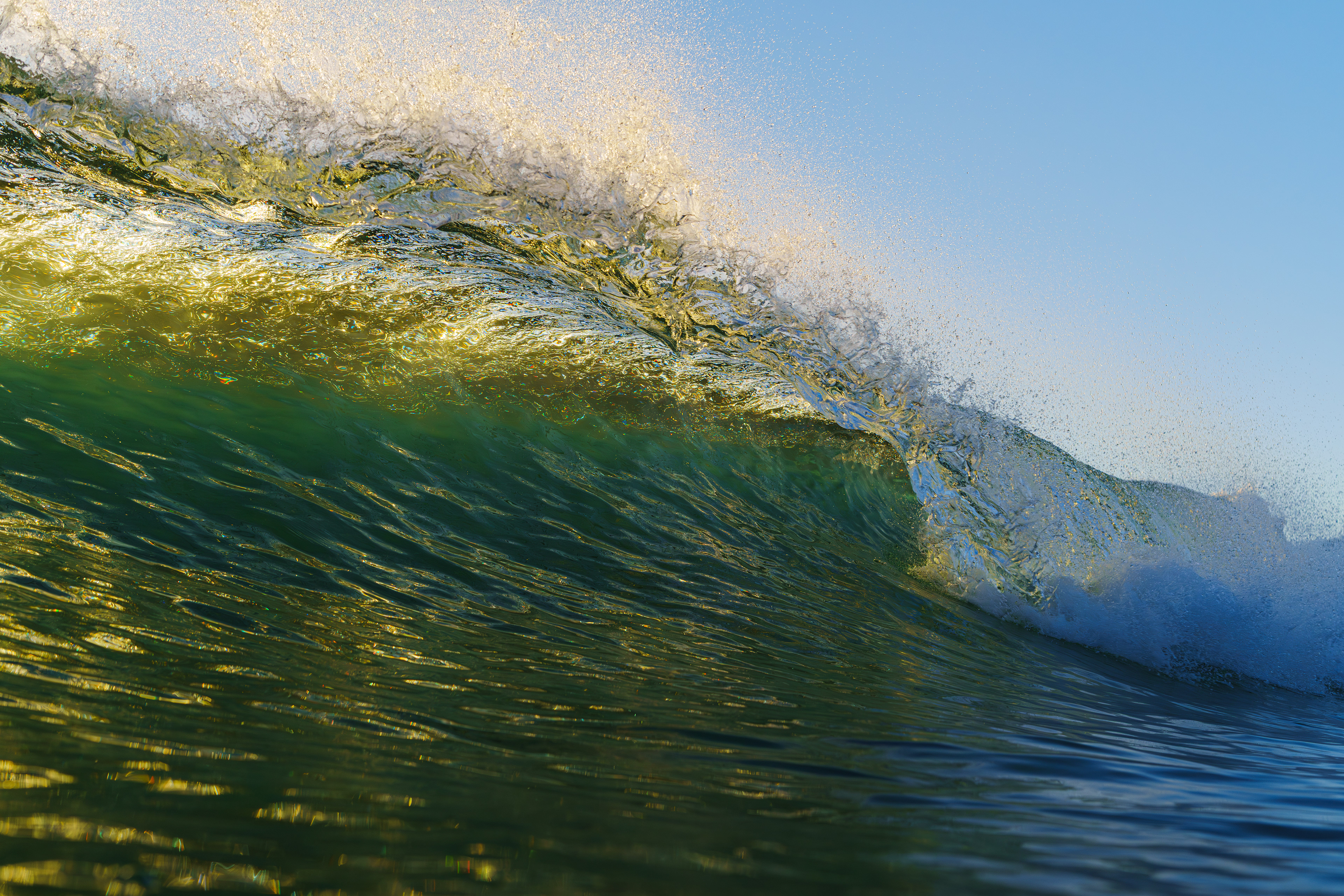 波の背に陽があたる角度が最後の時間帯。   2025/12/22　Kochi (1/1250sec F5.0 ISO800 40mm)