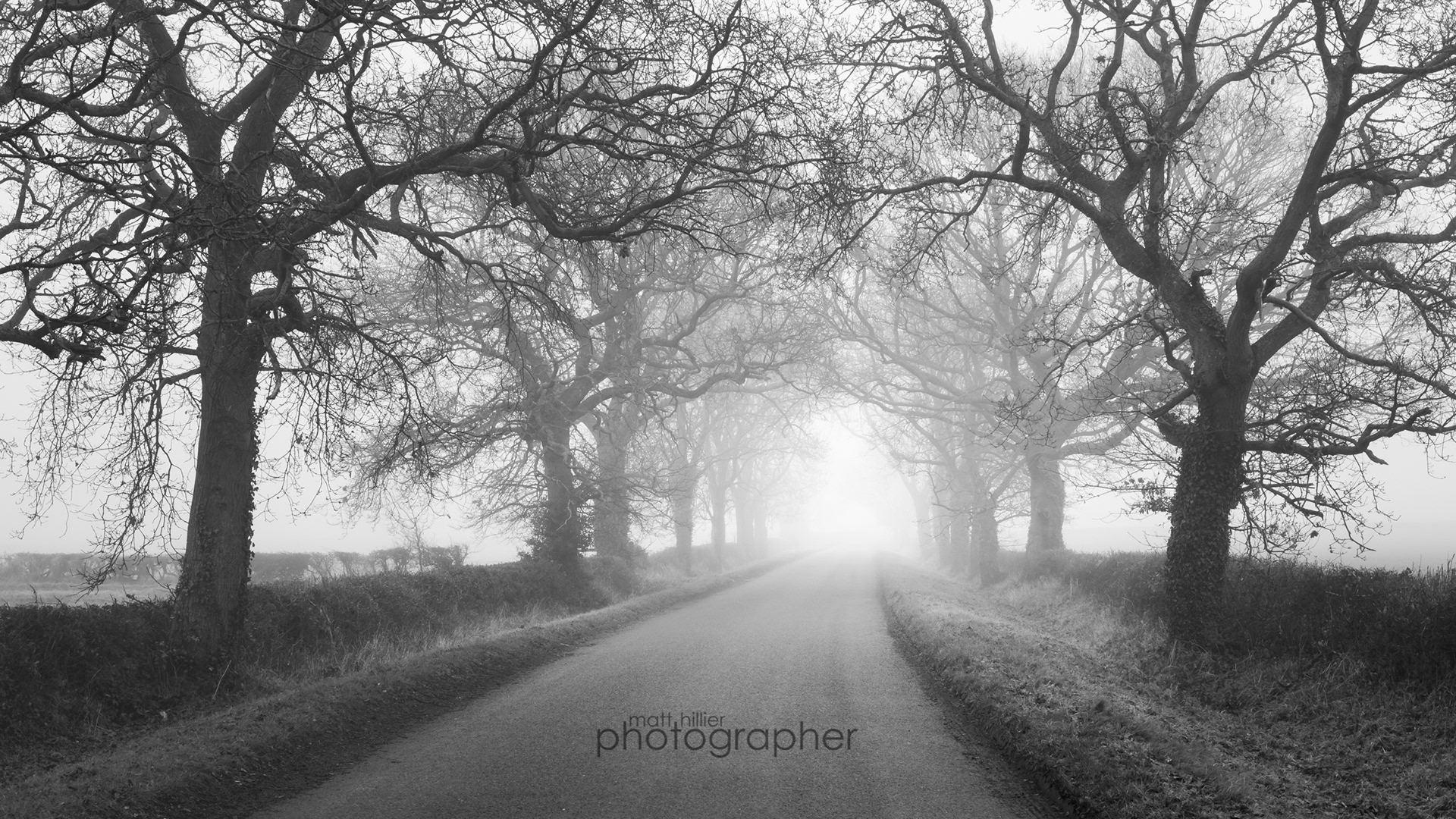 Fog on the Road Near Harome