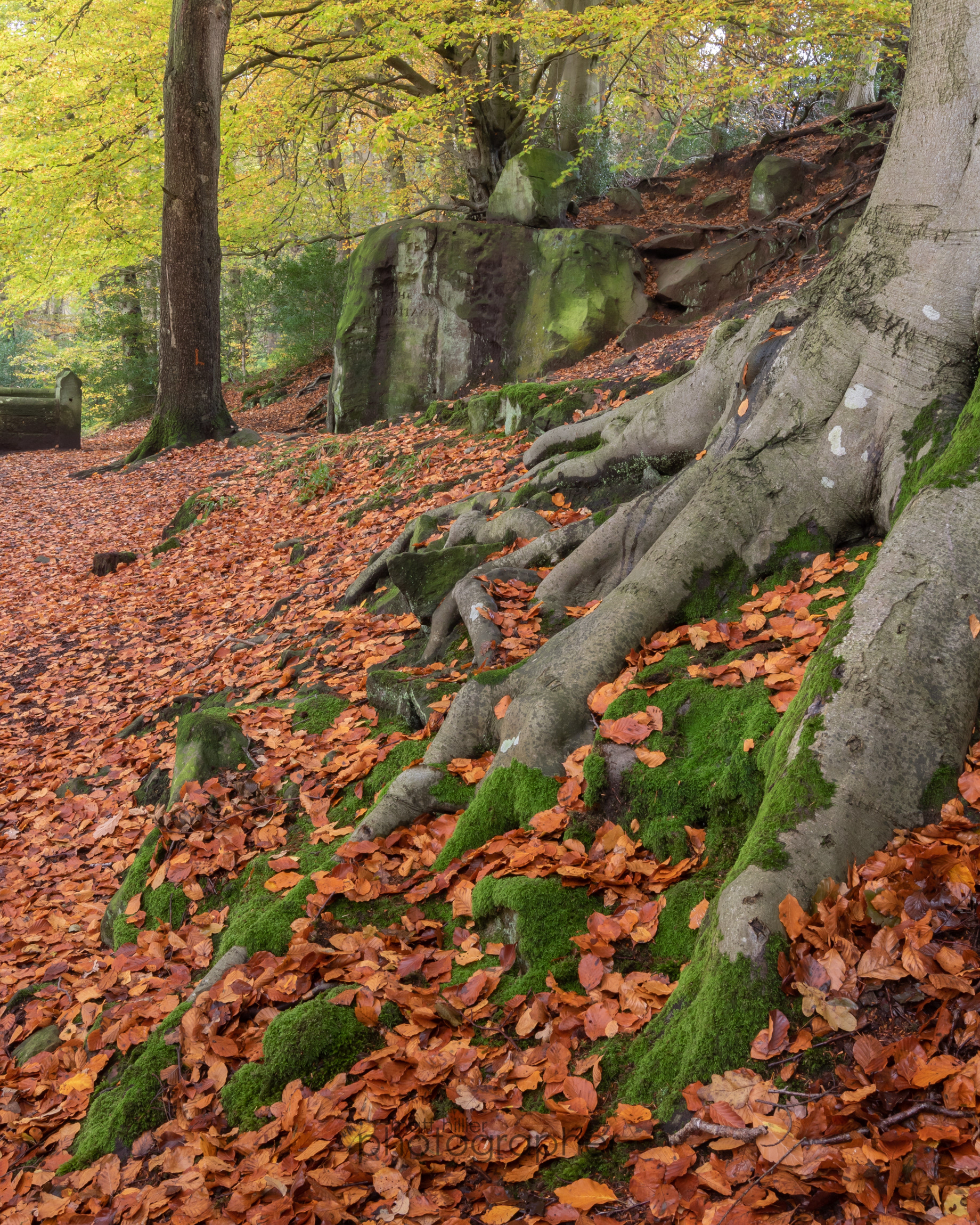 The Hermitage, Falling Foss