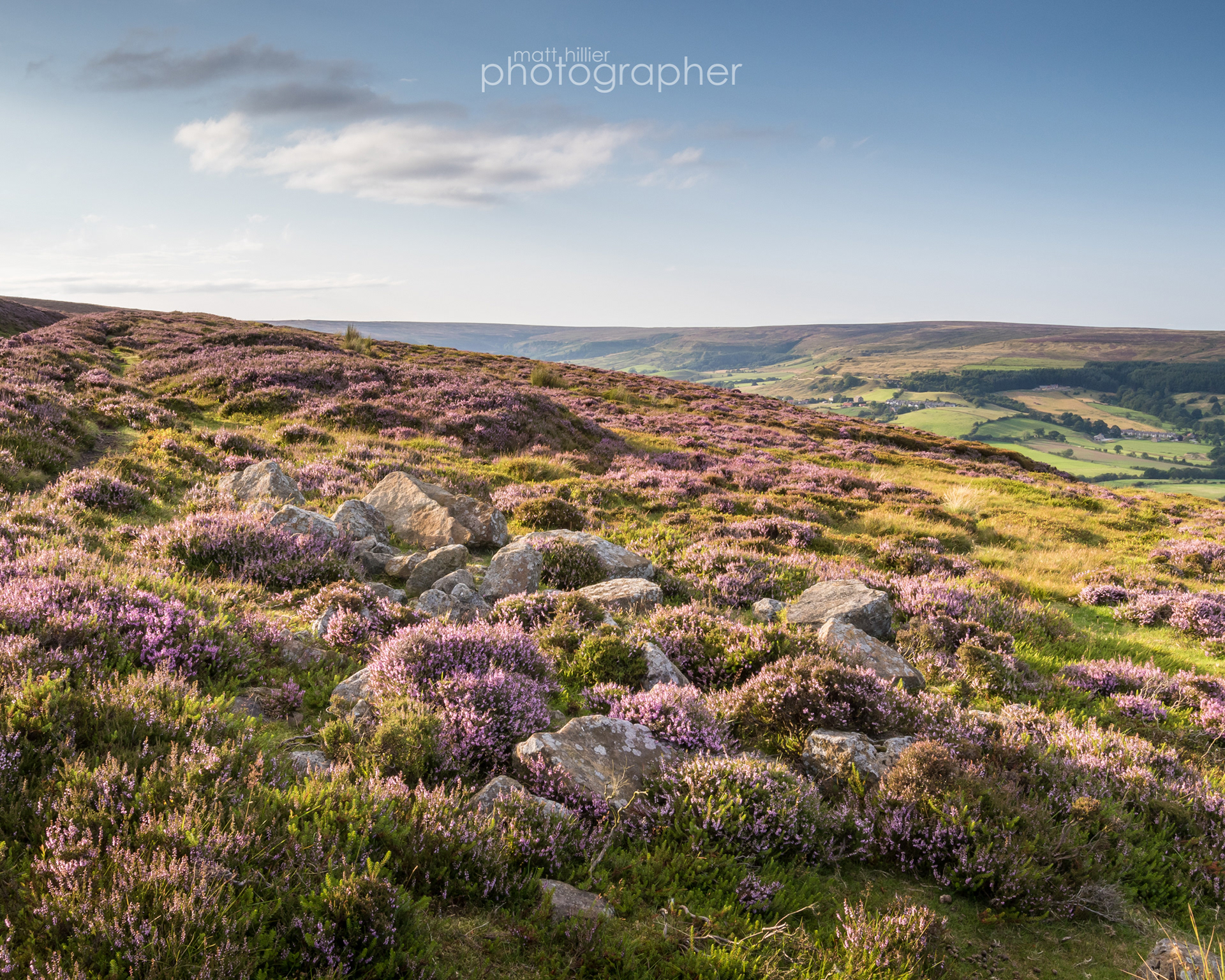 Heather and Scattered Rocks Rosedale