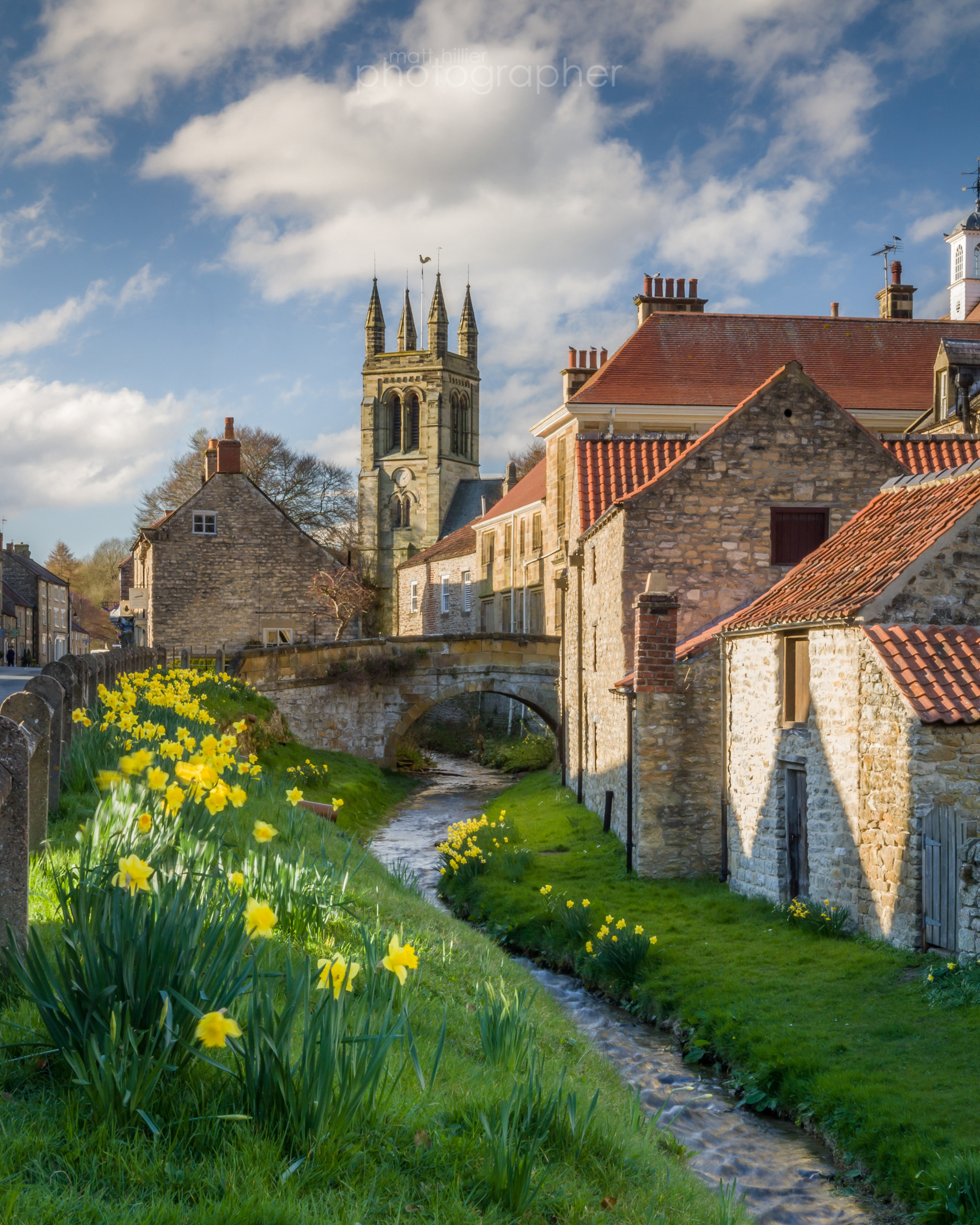 Helmsley Daffodils, 2021