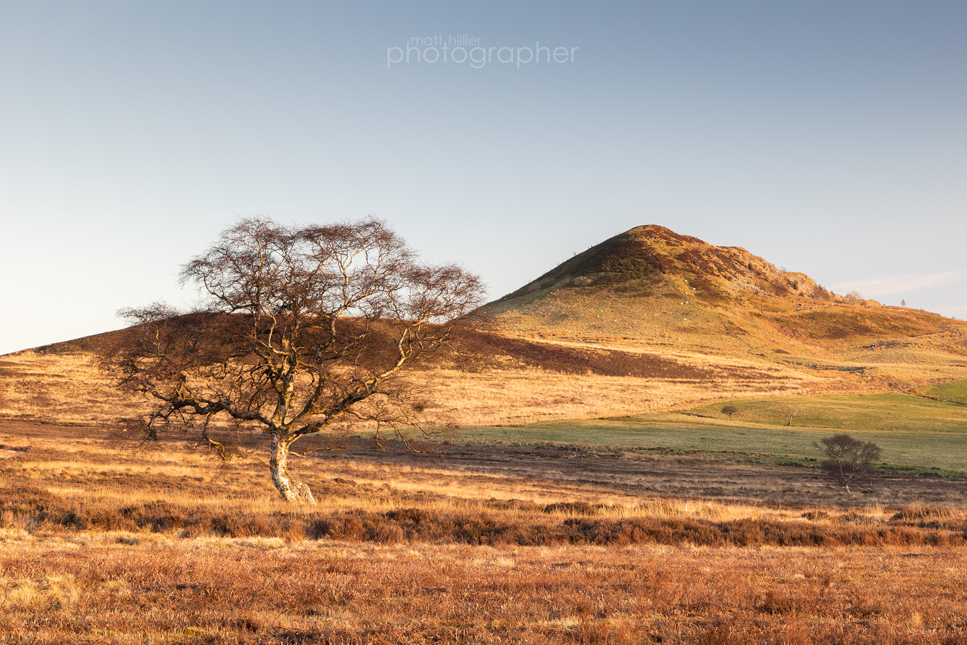 Hawnby Hill in Spring Evening Light