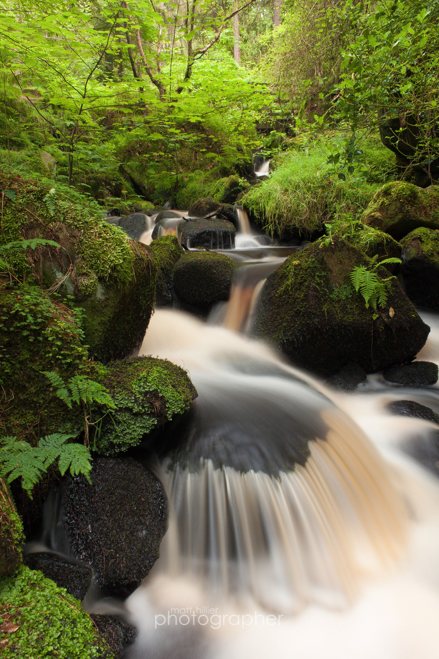 Cascading From the Bridge, Wyming Brook
