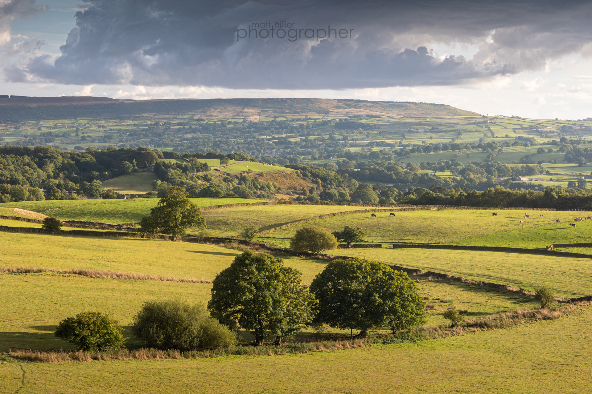 Beamsley Hill Golden Light