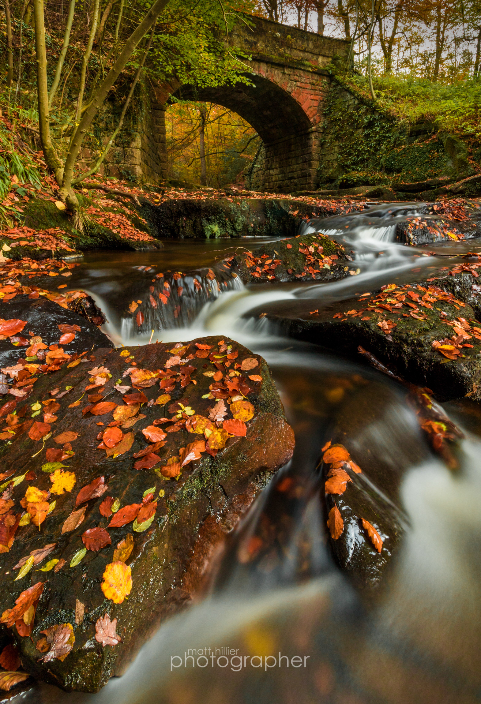 Autumn in May, May beck