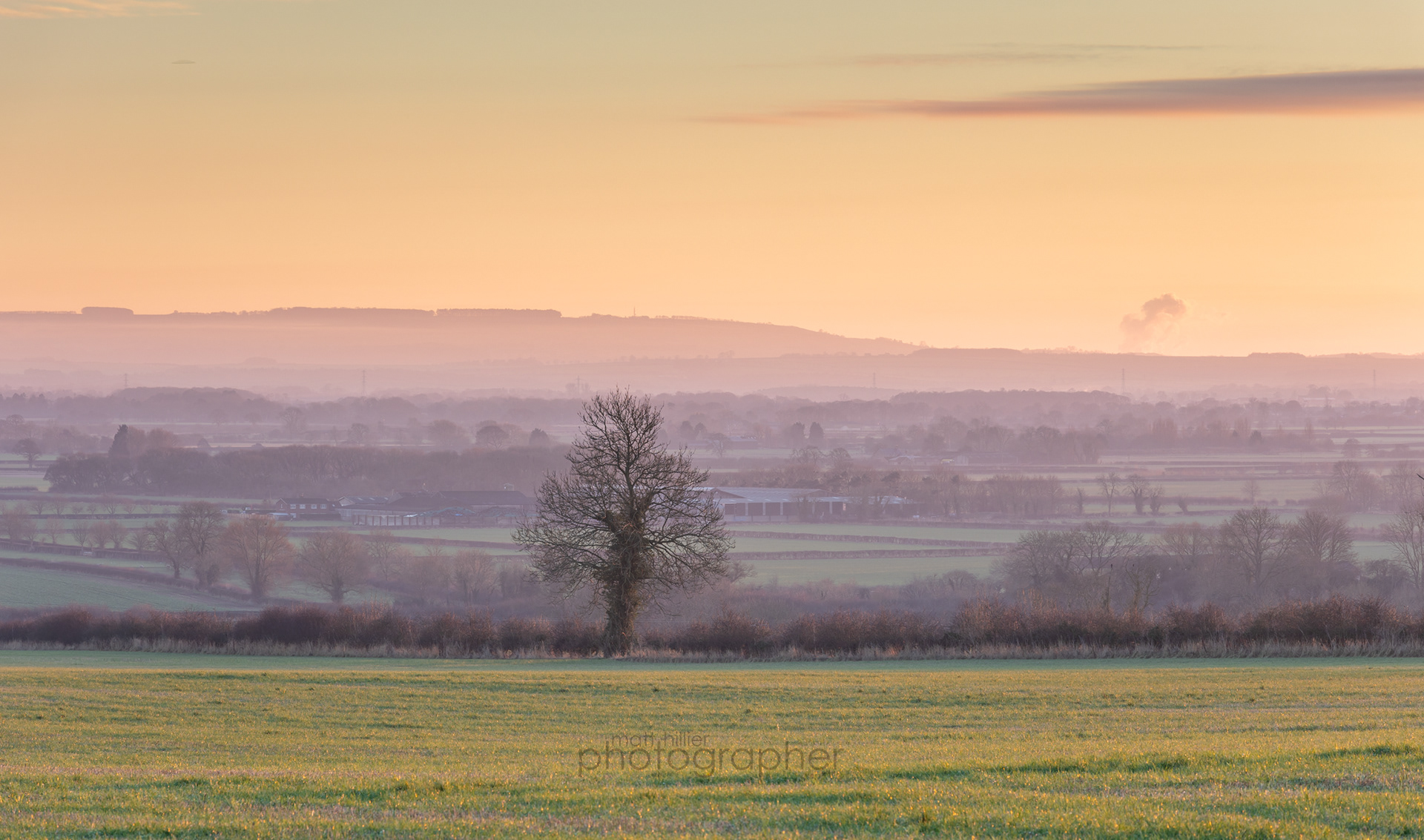Ryedale Golden Light