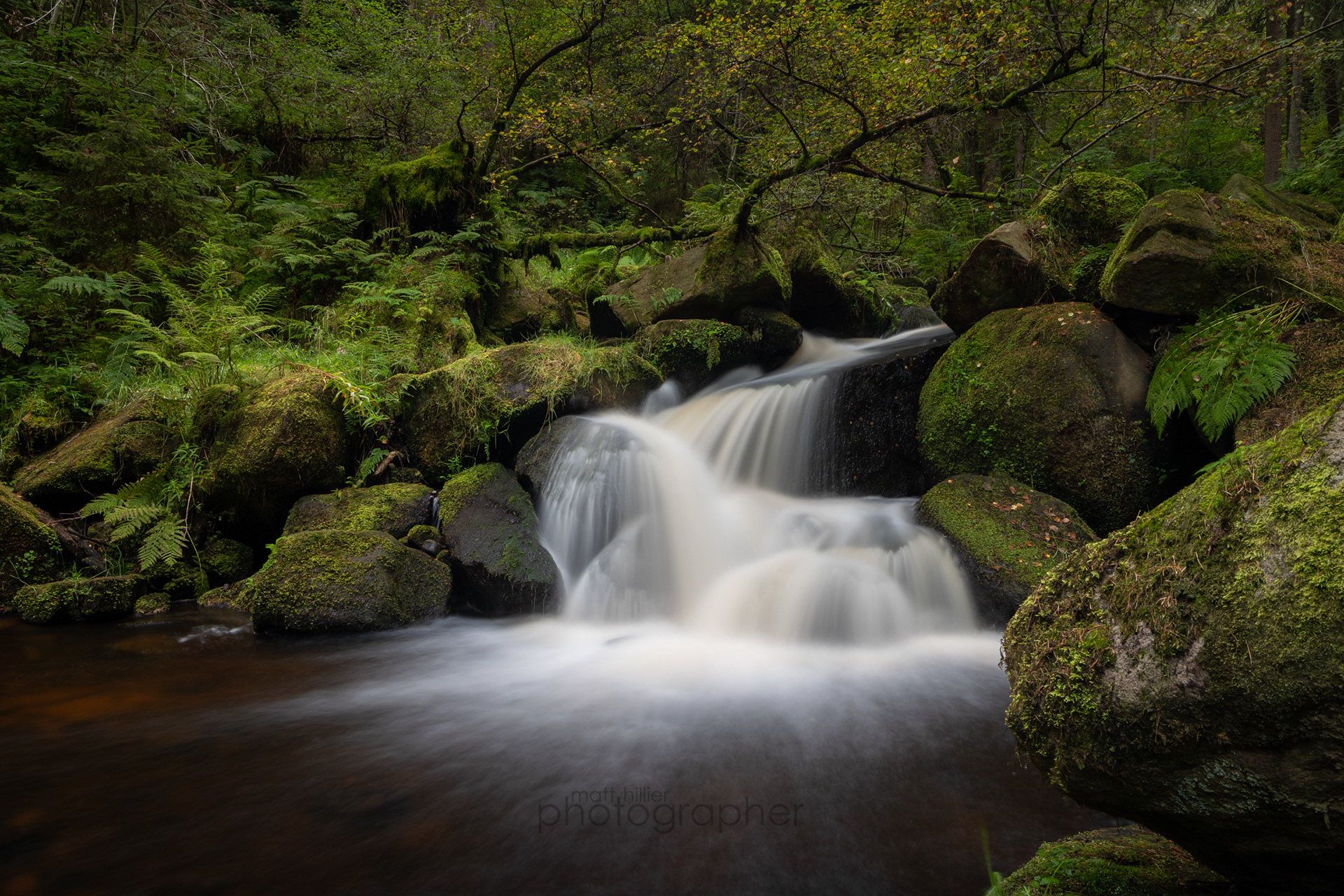Autumn Beginning to Show, Wyming Brook (Landscape)