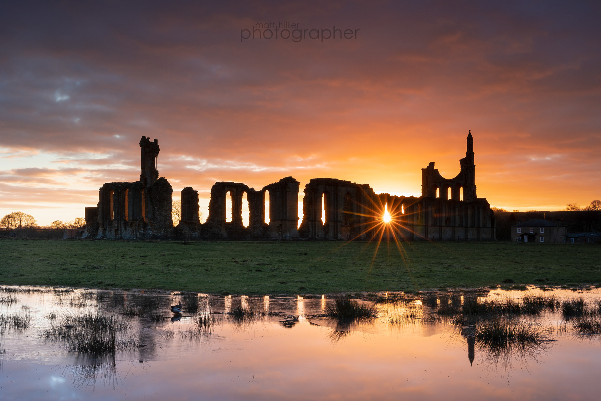 Byland Abbey Sunburst
