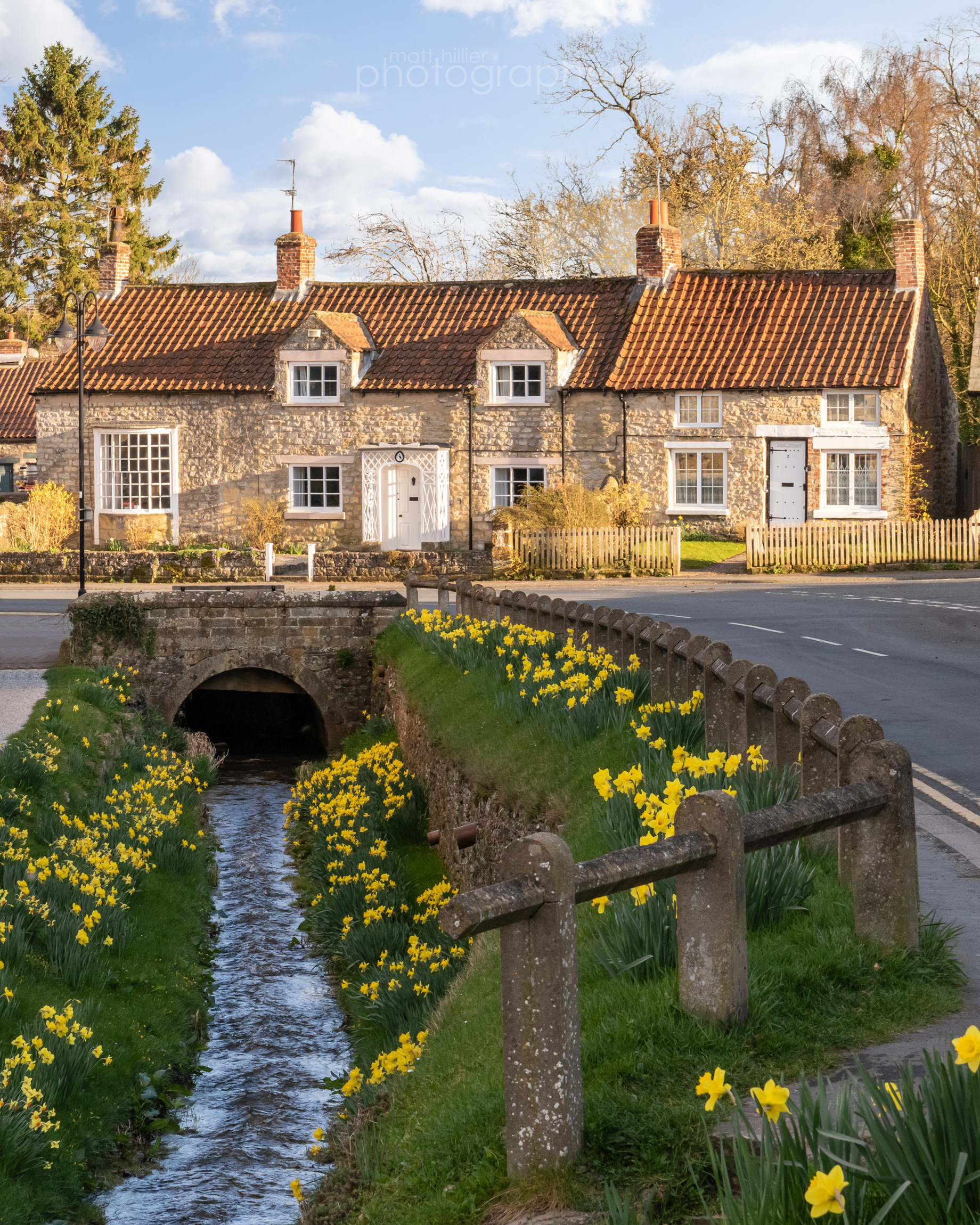 Helsmley Daffs South