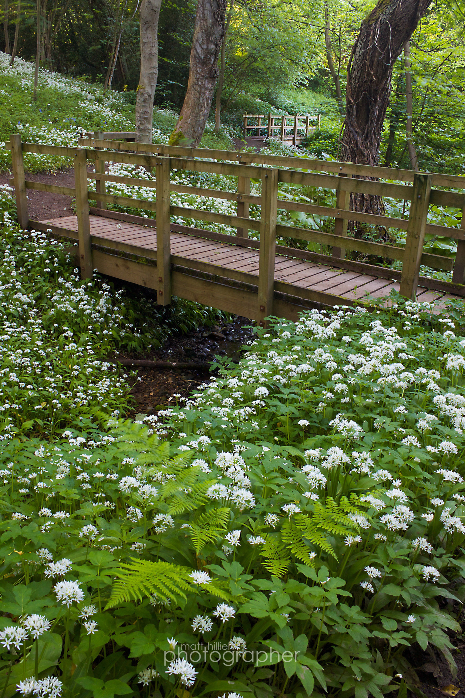 Spring Bridges, Knaresborough