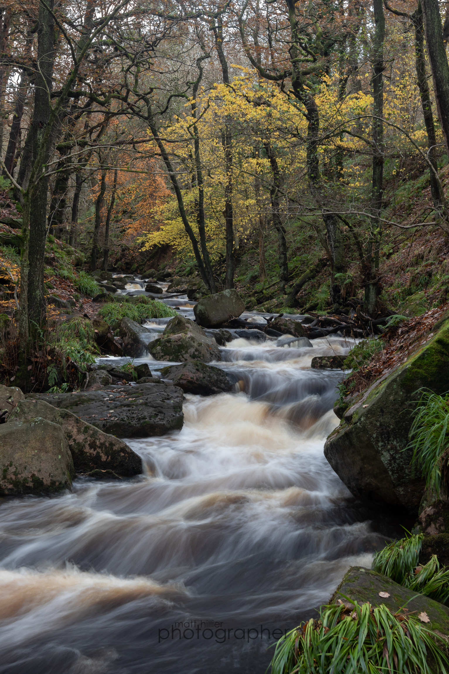 Brooding Burbage, Padley Gorge