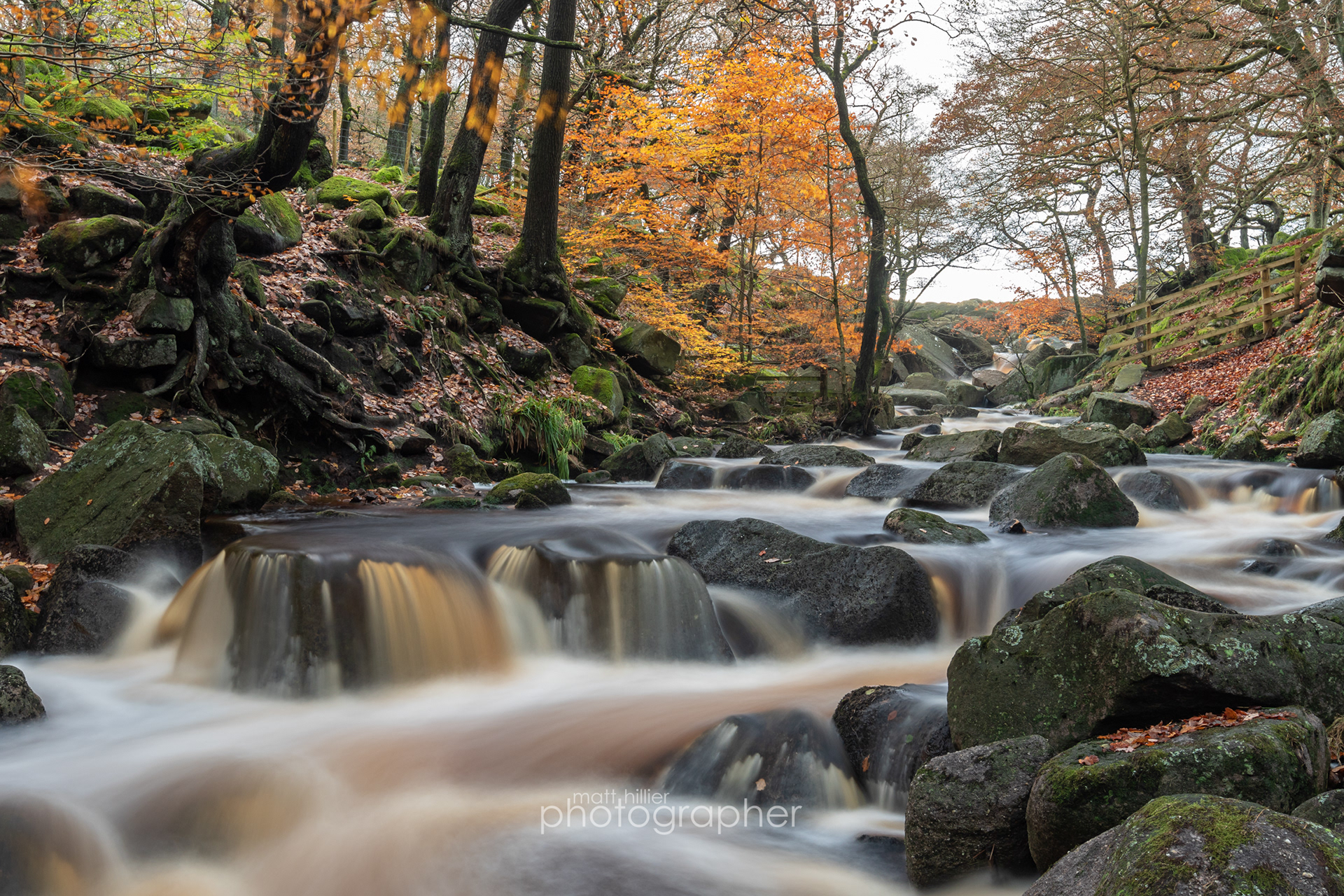 Autumn at the Top of Padley Gorge