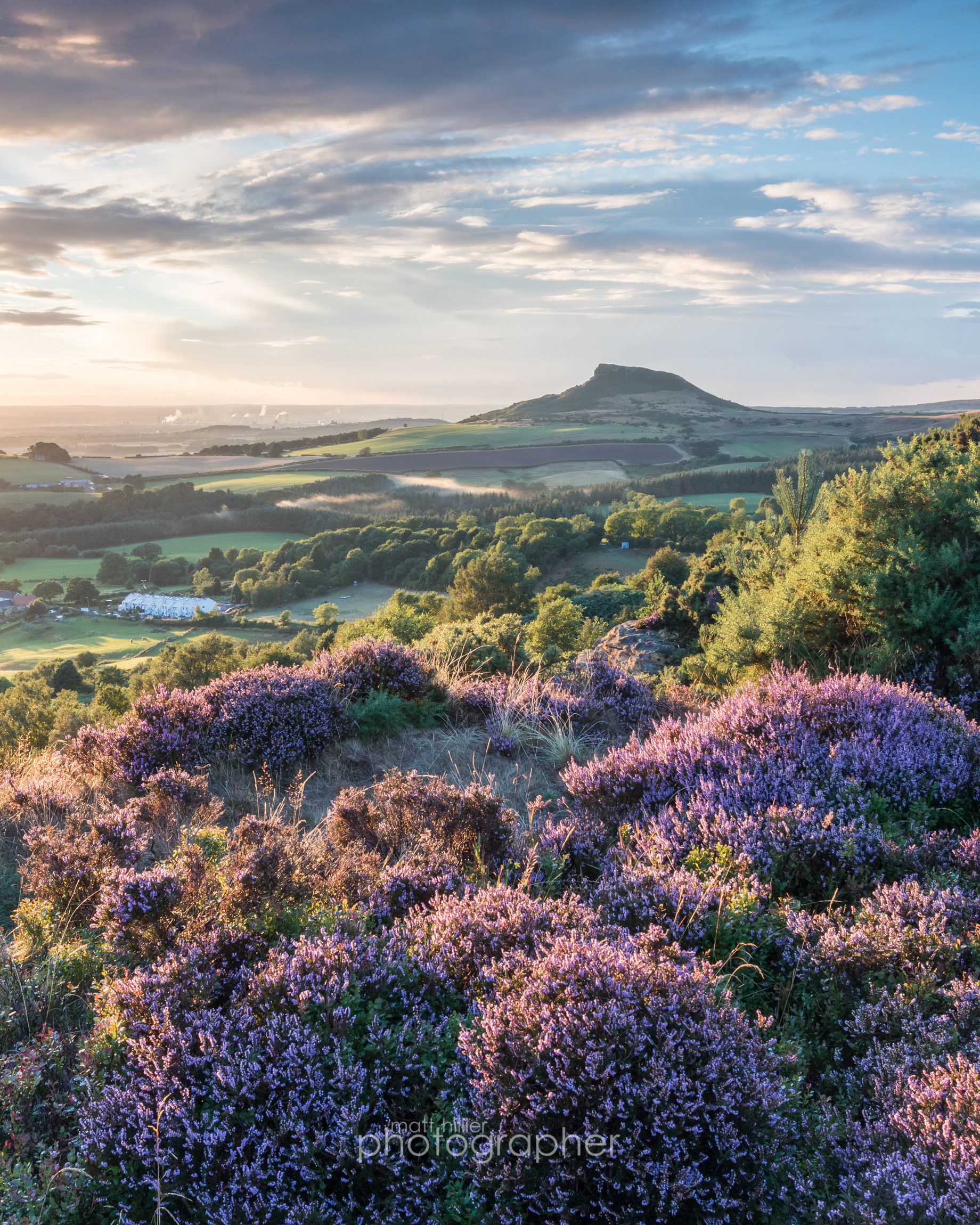 Roseberry During Heather Season