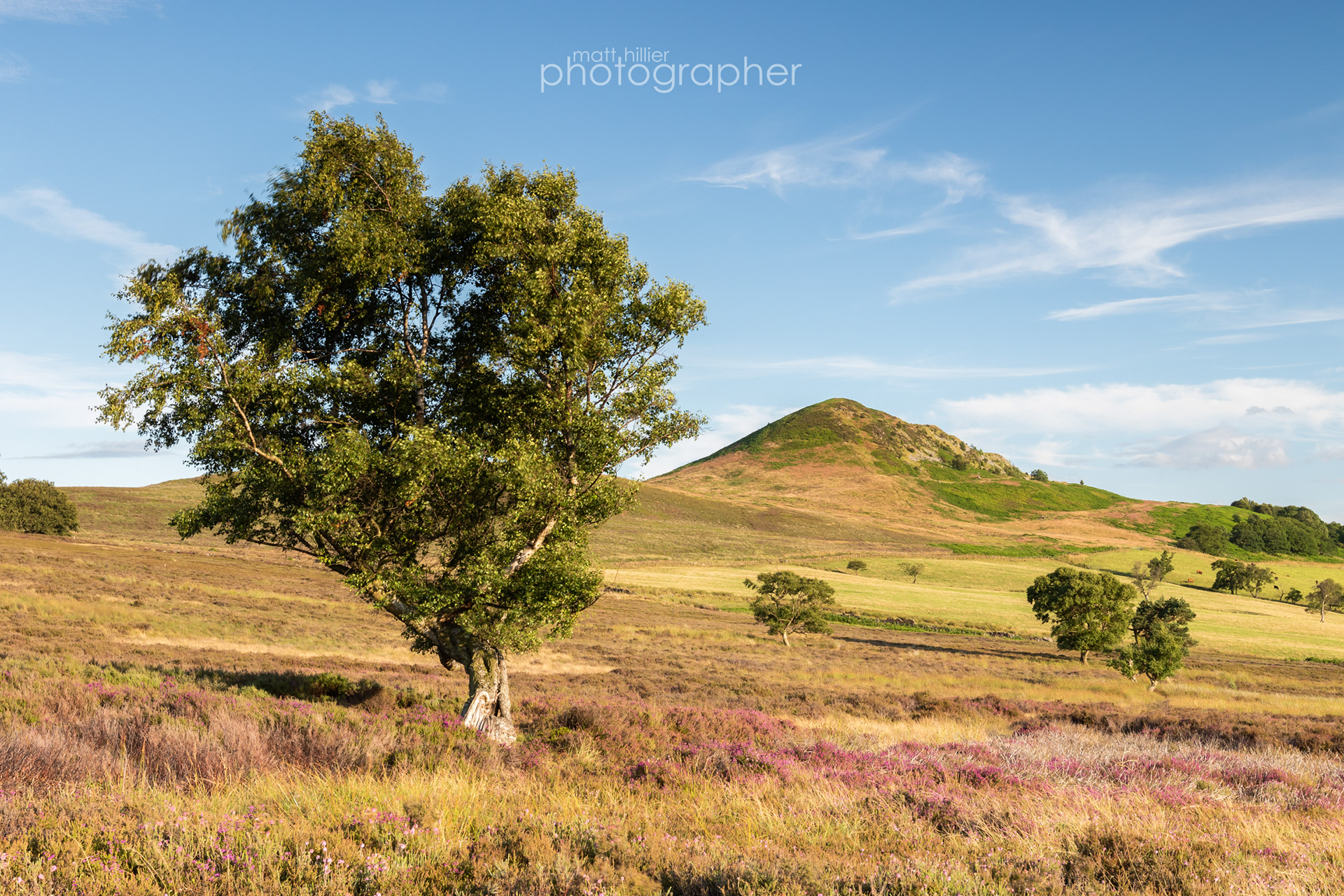 Hawnby Hill Summer