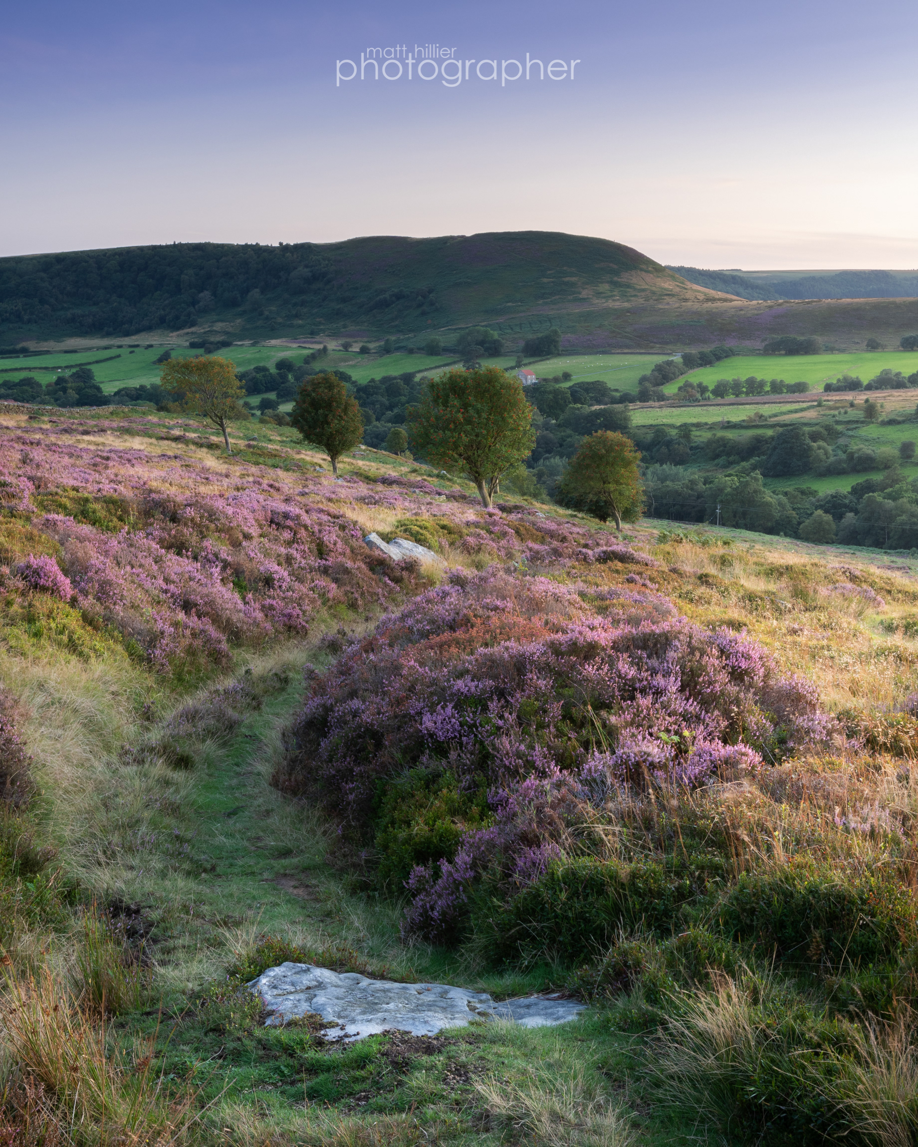 Rowans by the Holloway, Hawnby