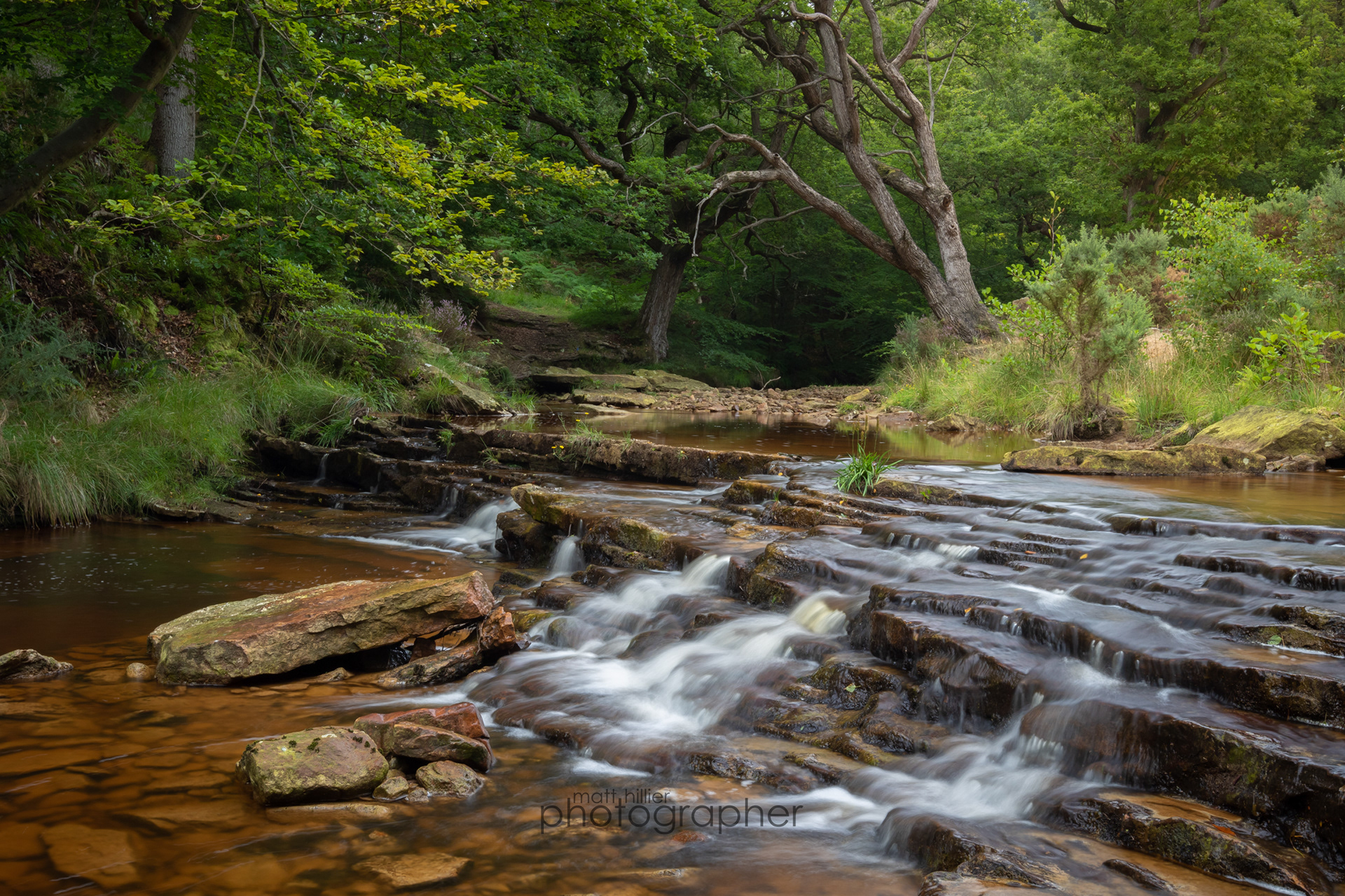 Cascades in Low North Camp, Harwood Dale