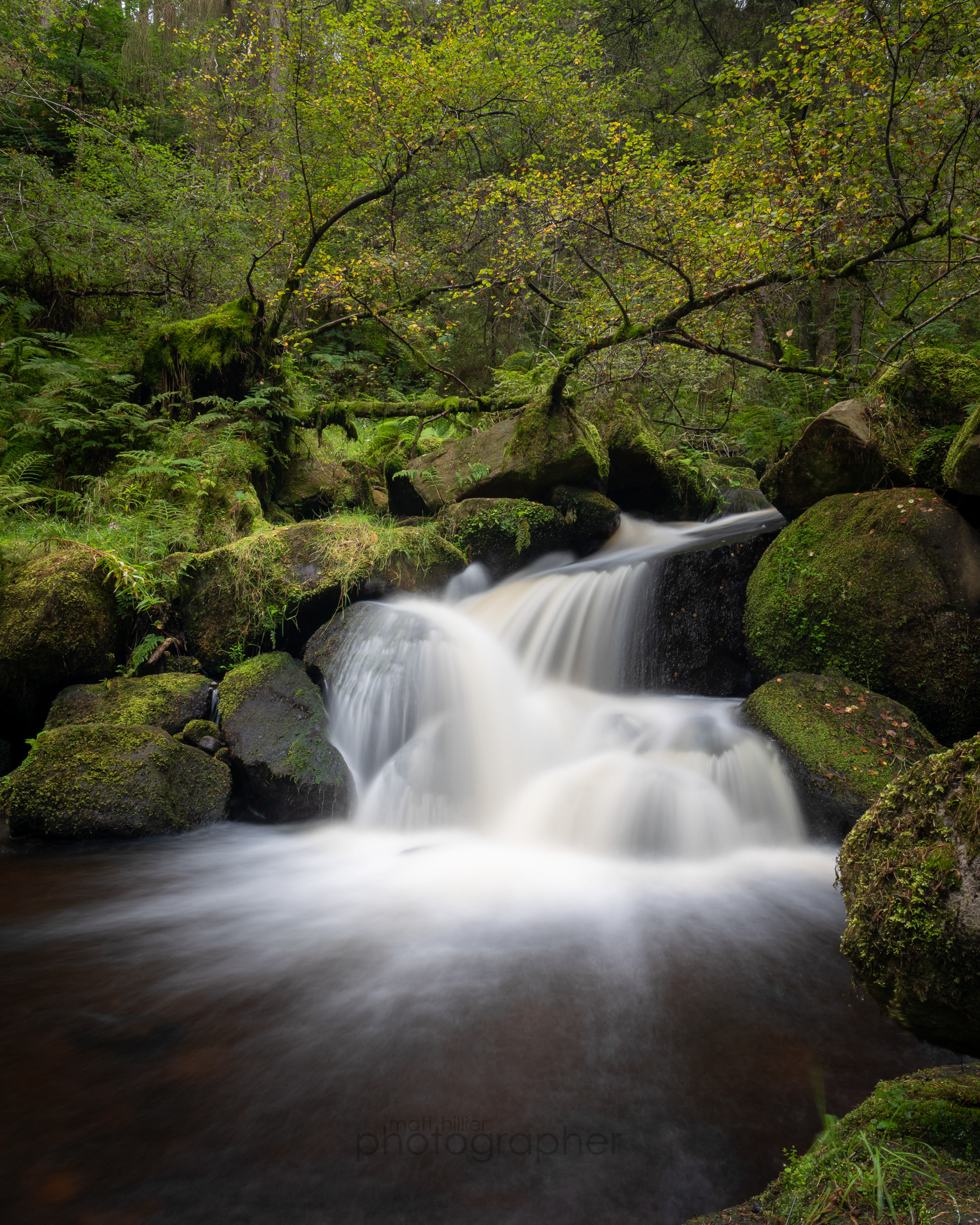 Autumn Beginning to Show, Wyming Brook (Portrait)