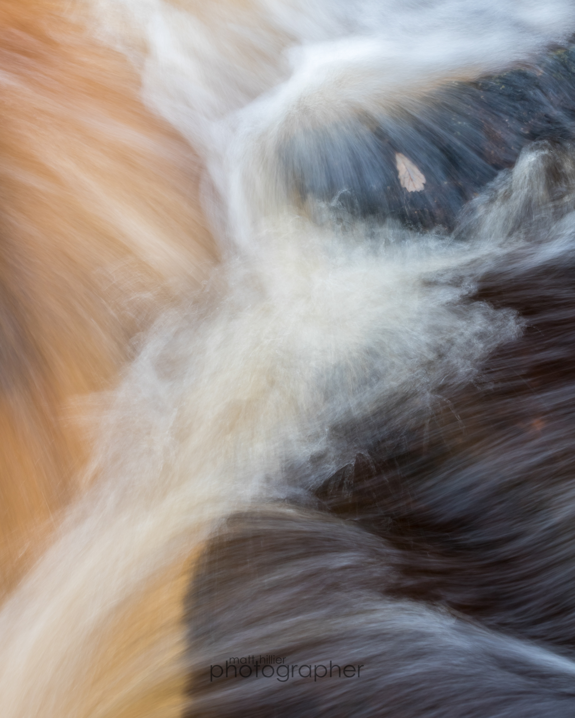 Submerged Leaf, Padley Gorge