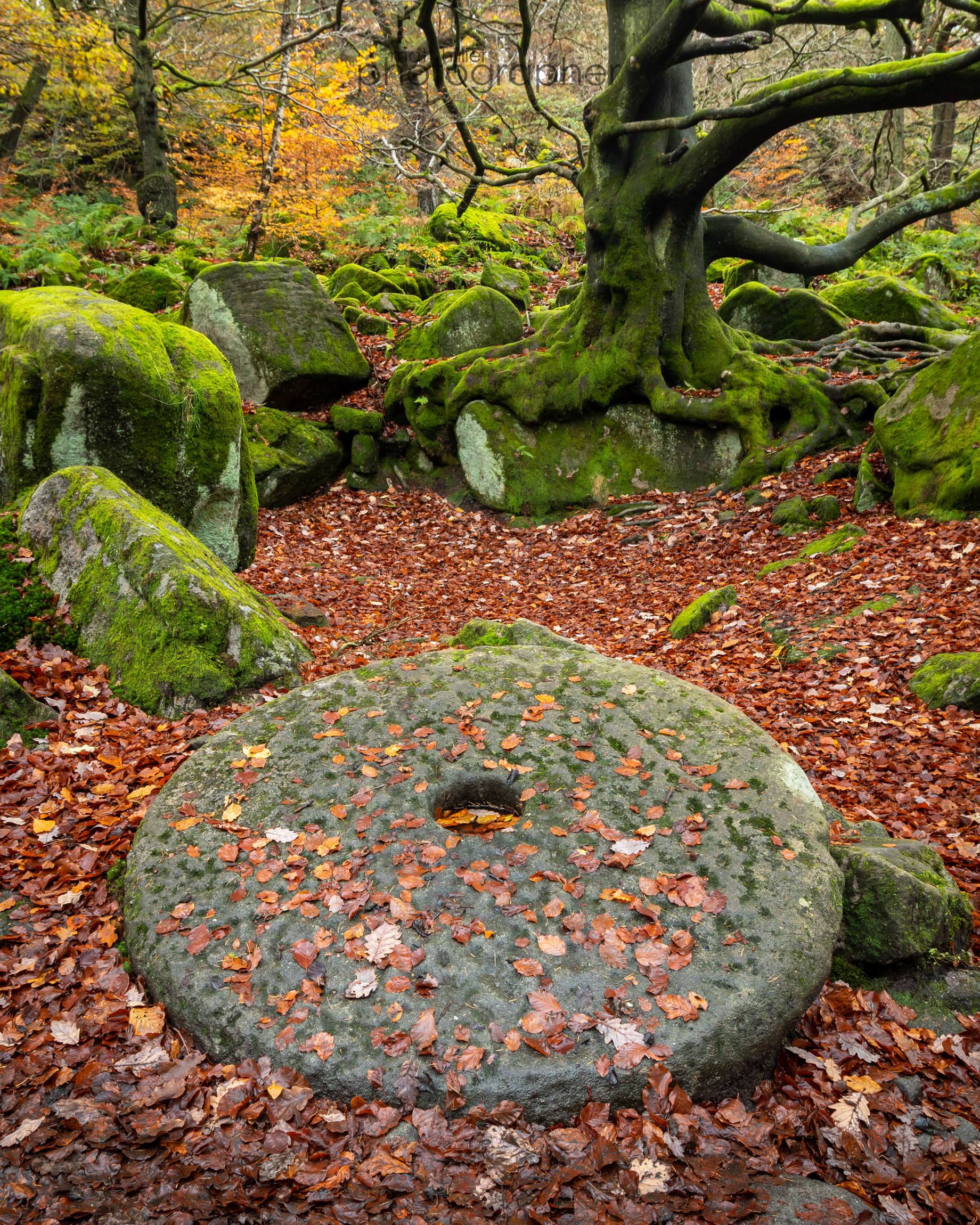 Millstone (Portrait), Padley Gorge