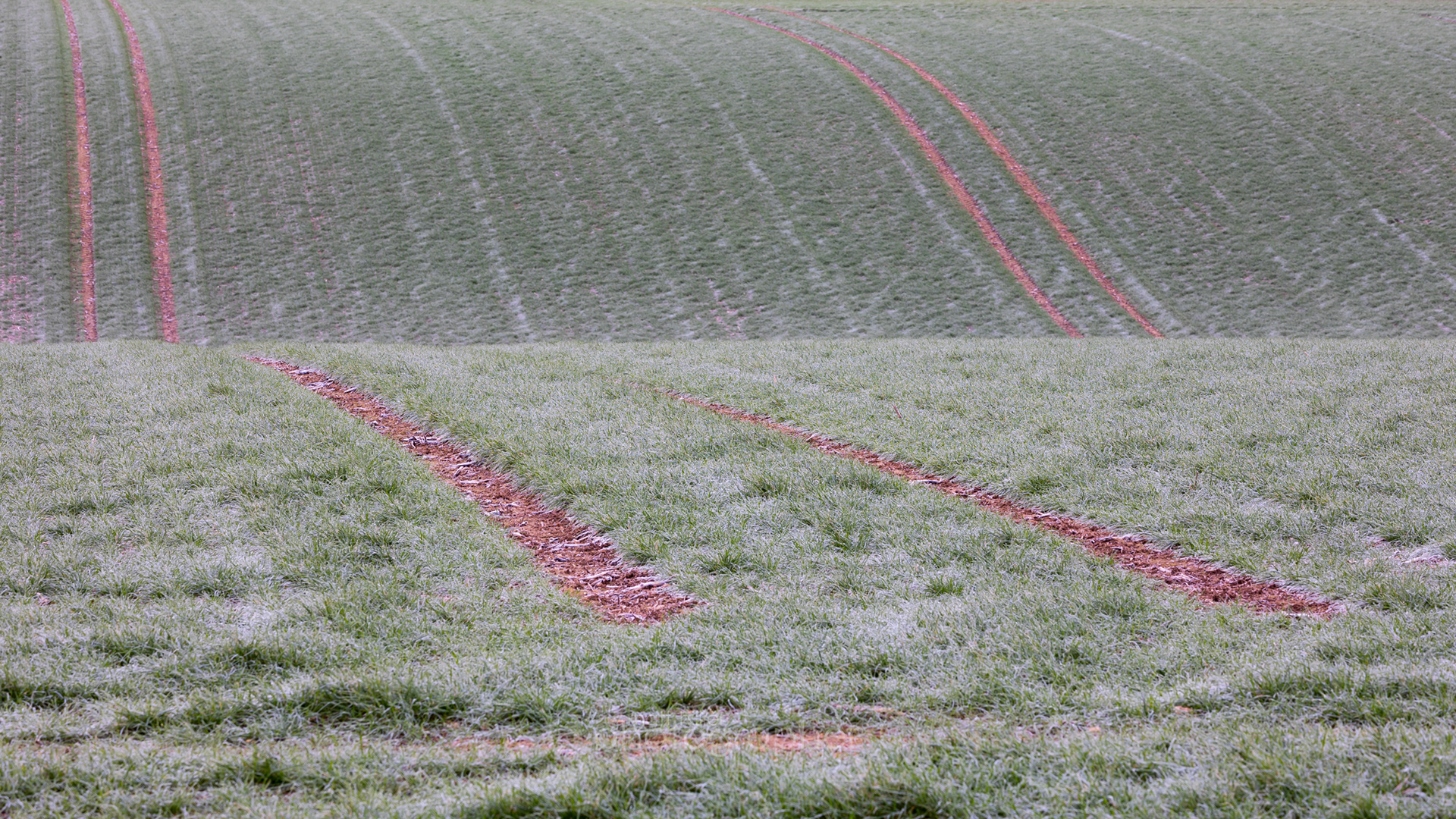 Winter Field Patterns, Helmsley