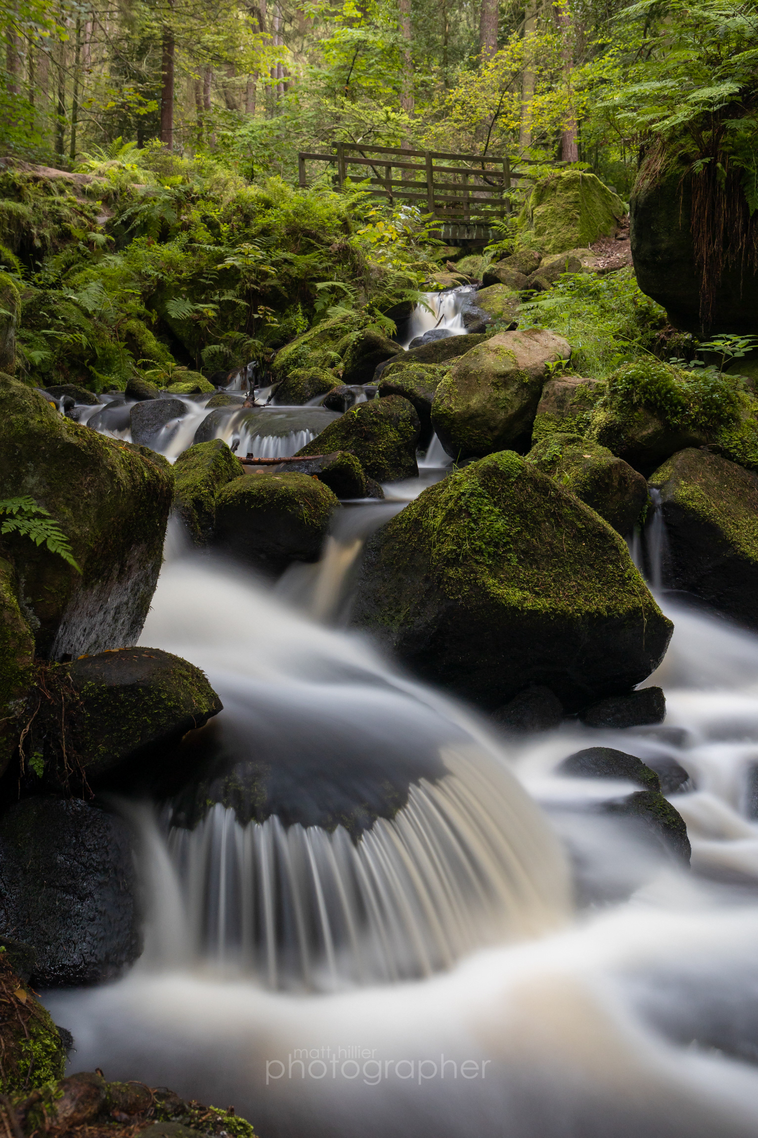 Late Summer Falls, Wyming Brook