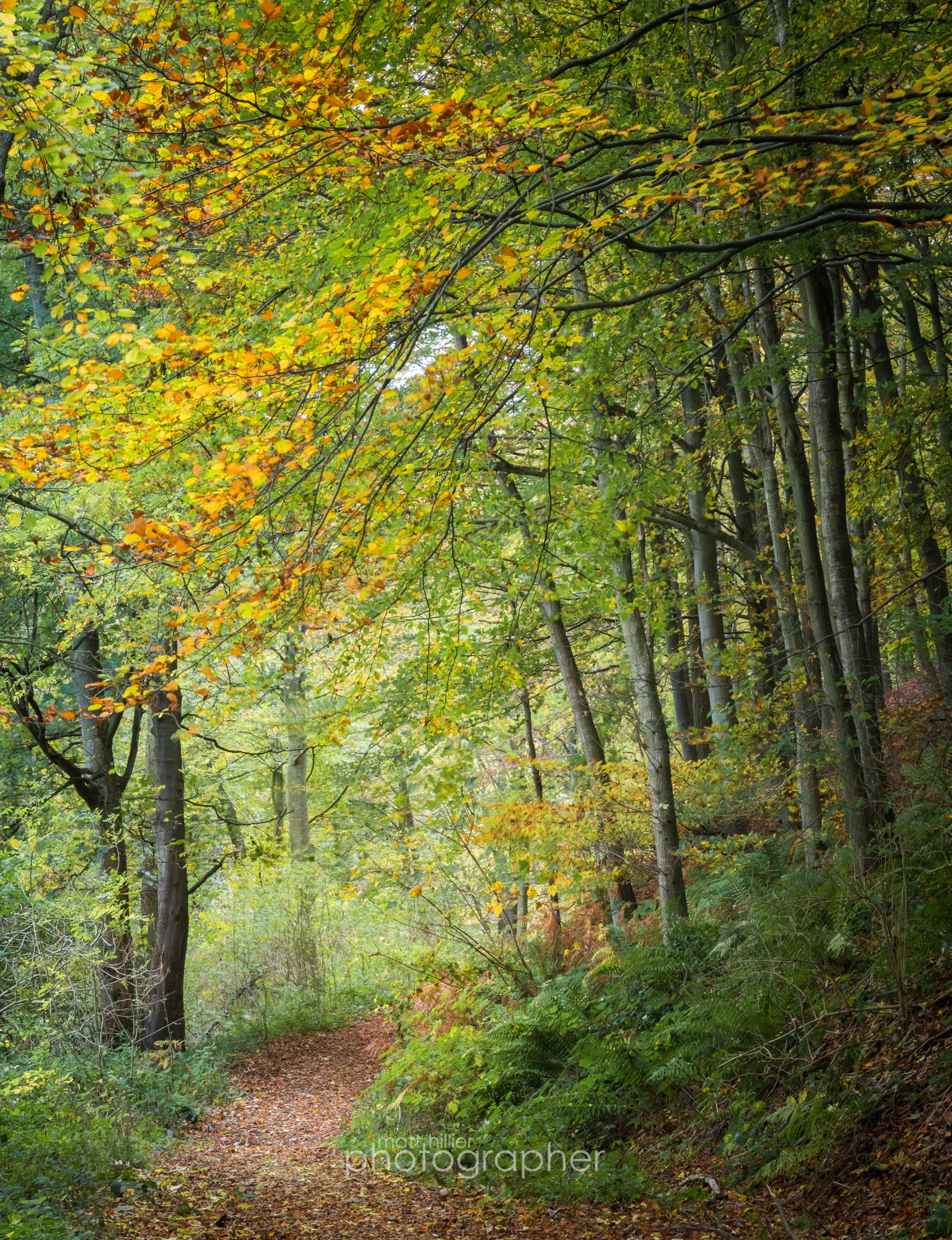 Autumn on the Kildale Estate
