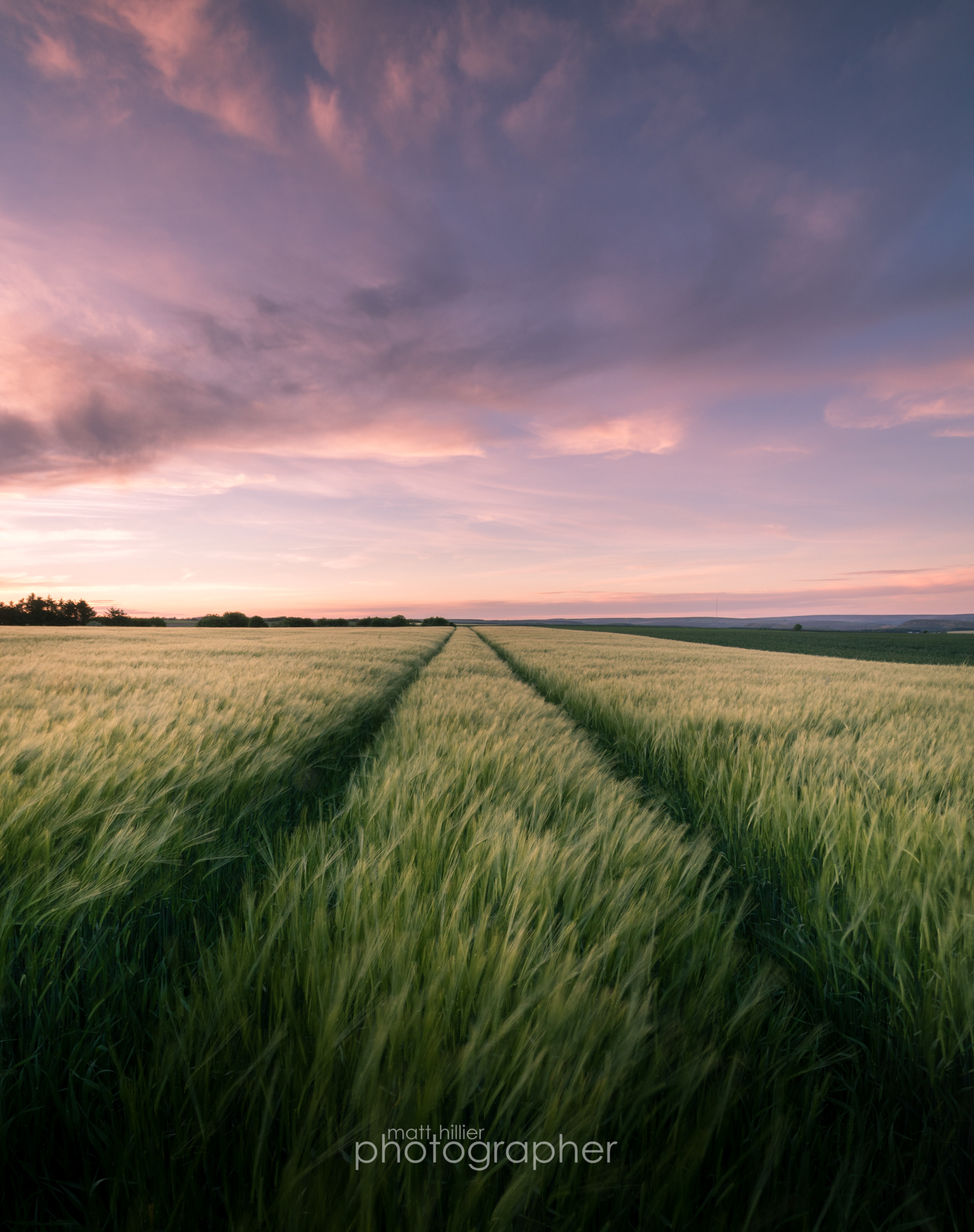 Barley Tracks, Sutton Bank