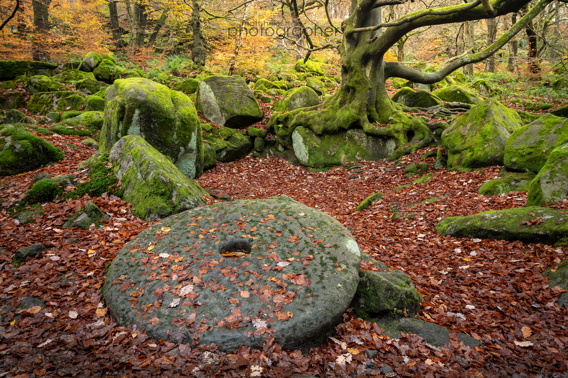 Millstone (Landscape), Padley Gorge