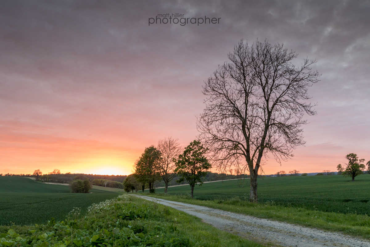 Nelson's Sunset, Nelson Gate