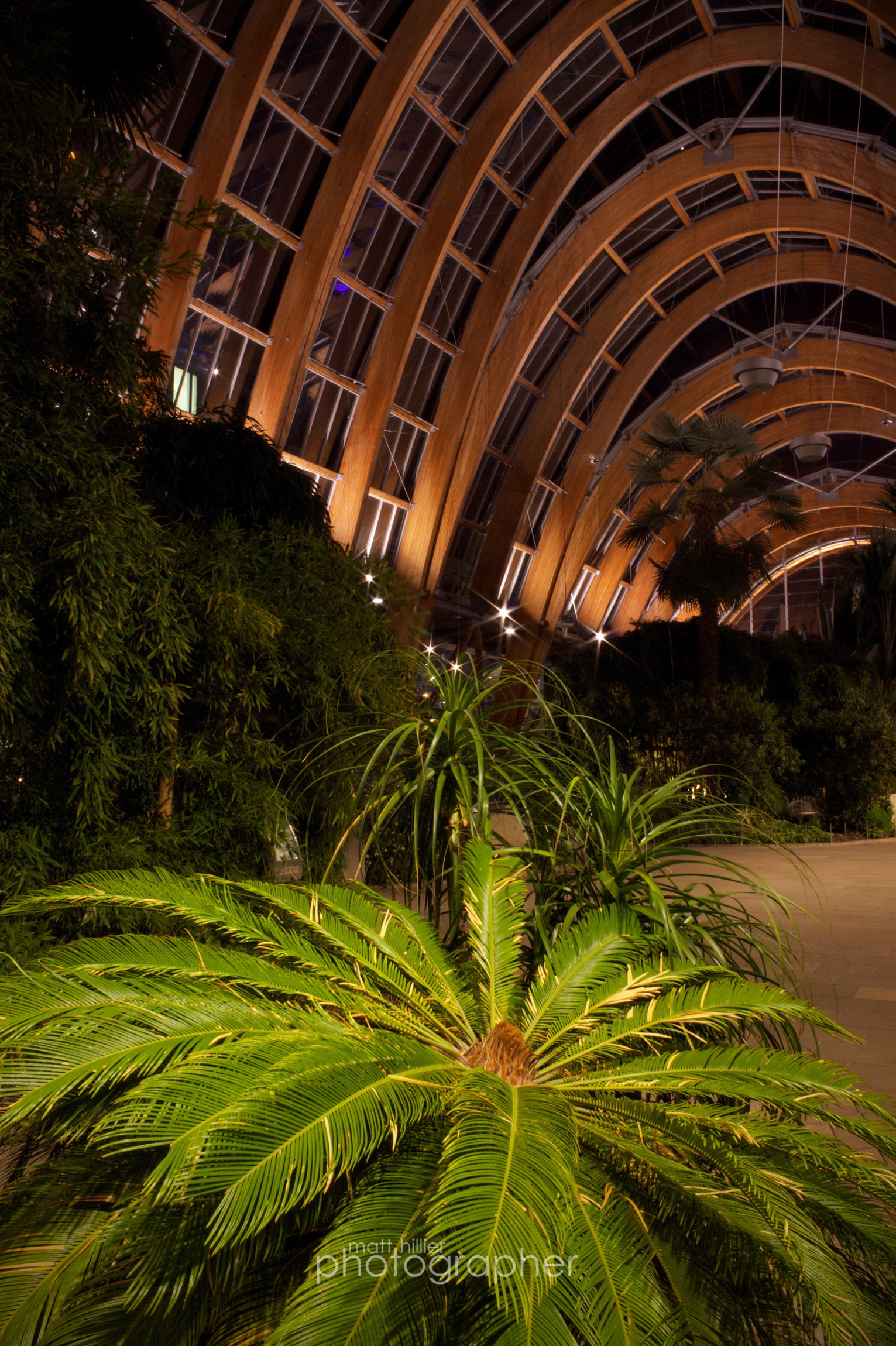 Sheffield Winter Gardens