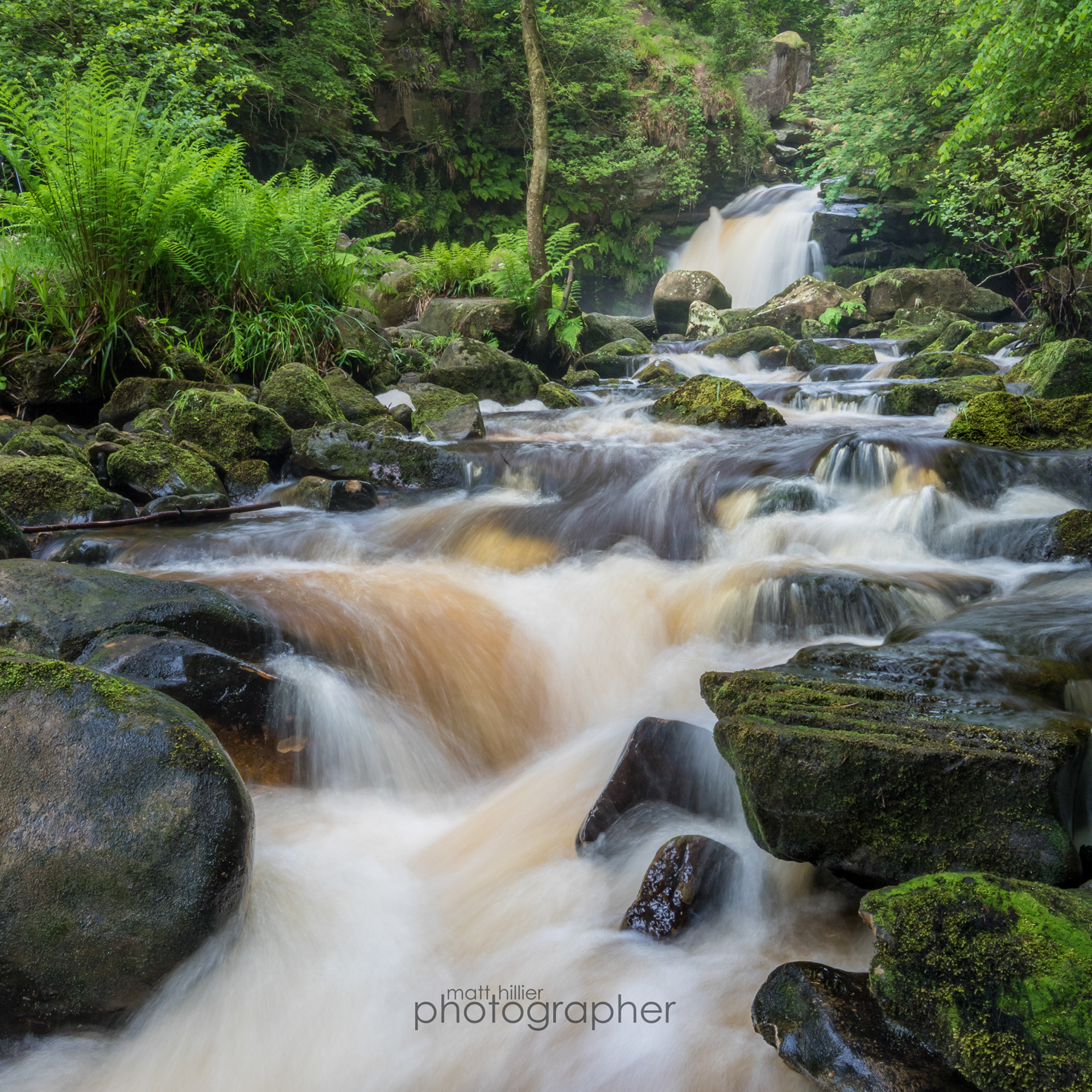 Mid Stream, Thomason Foss