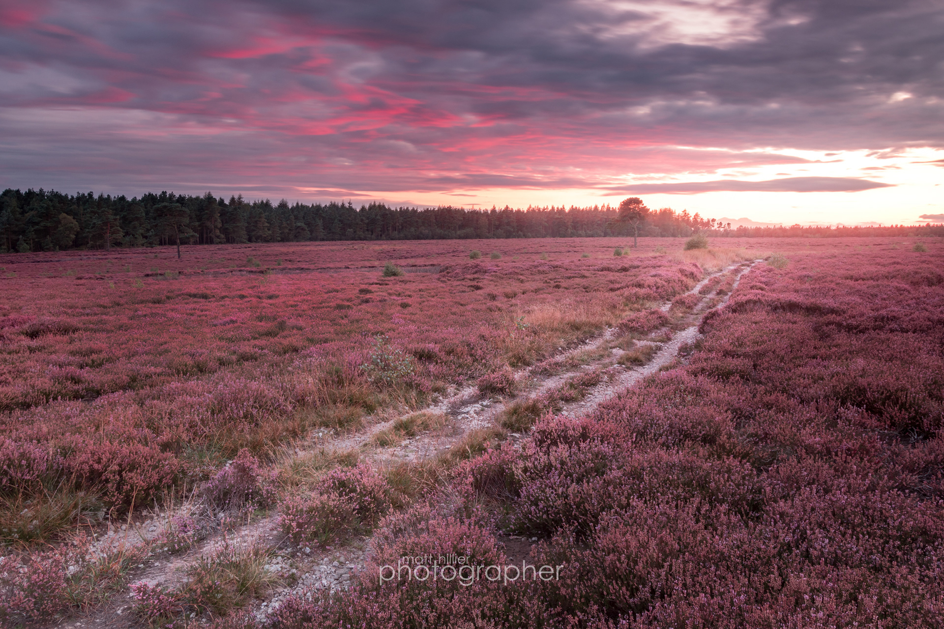 Gamekeeper's Tracks, Rievaulx Moor