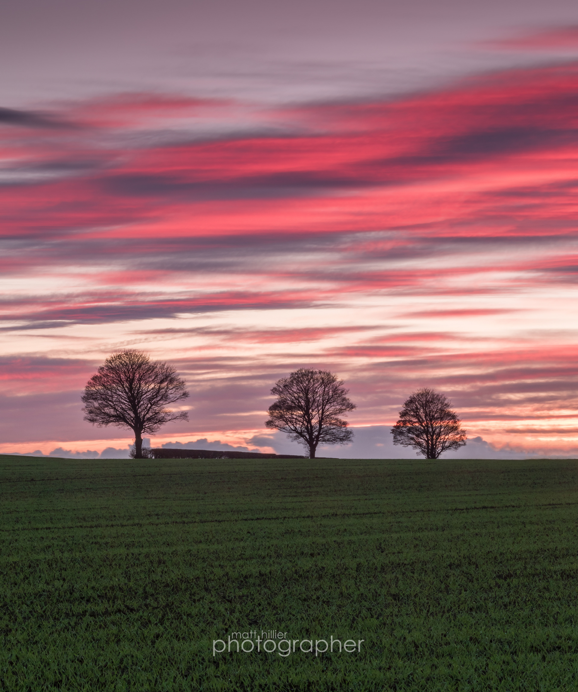 Three Trees, Ampleforth