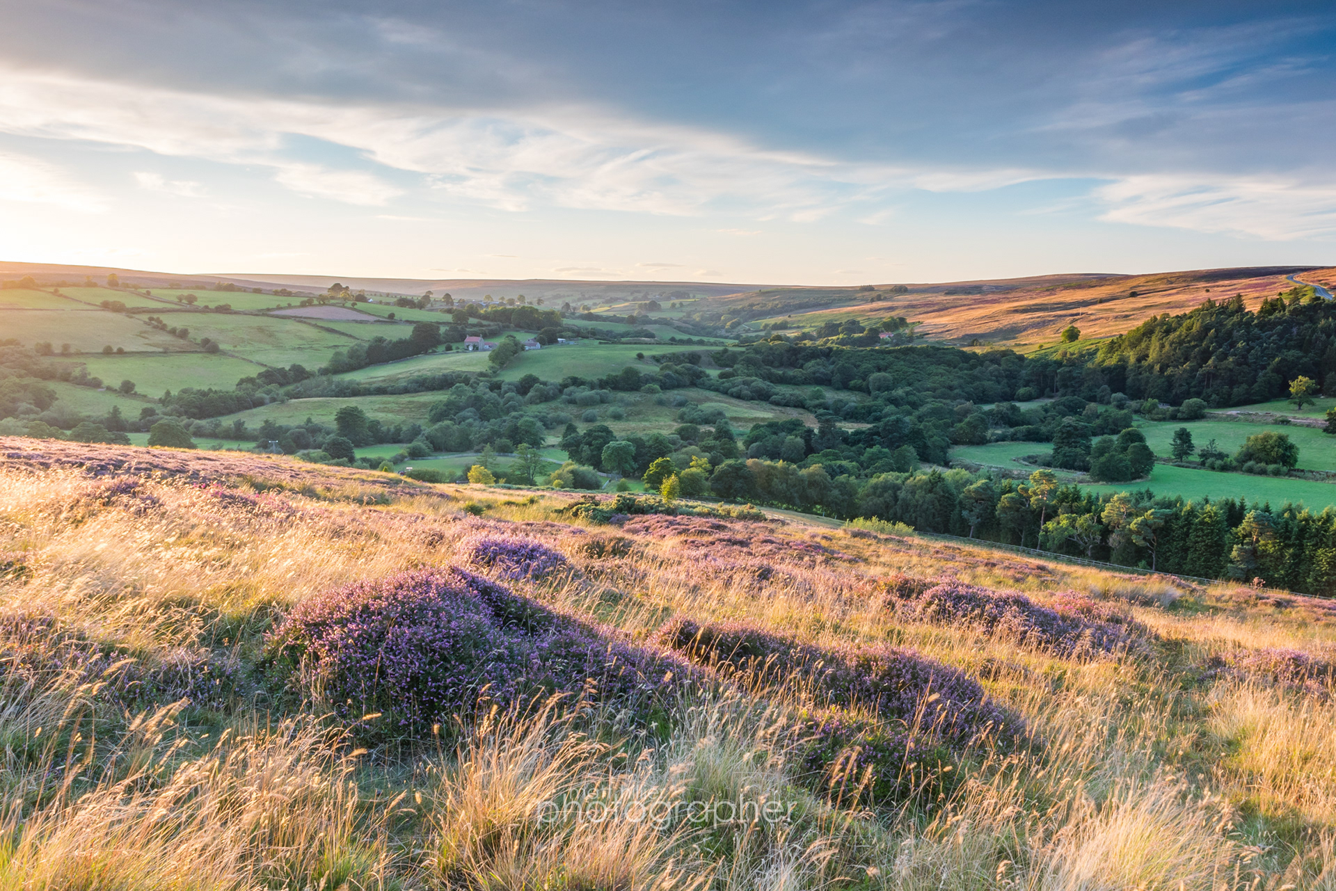 Illumination of Heather, Castleton