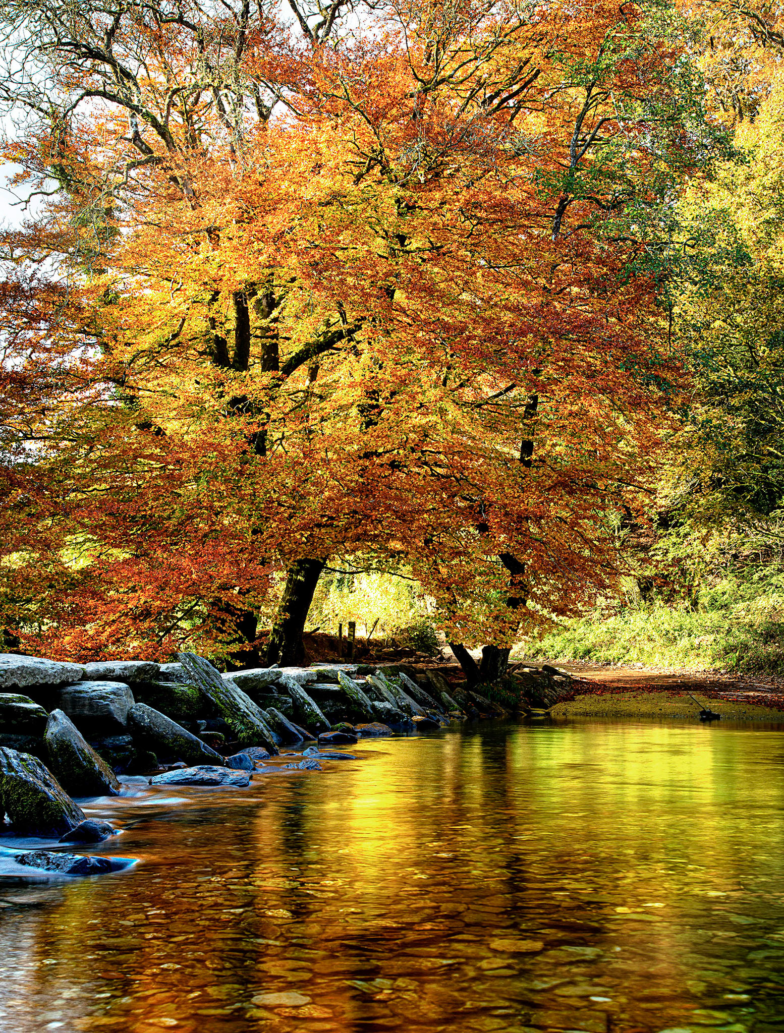 Exmoor, Tarr Stepps, River Barle, Autumn