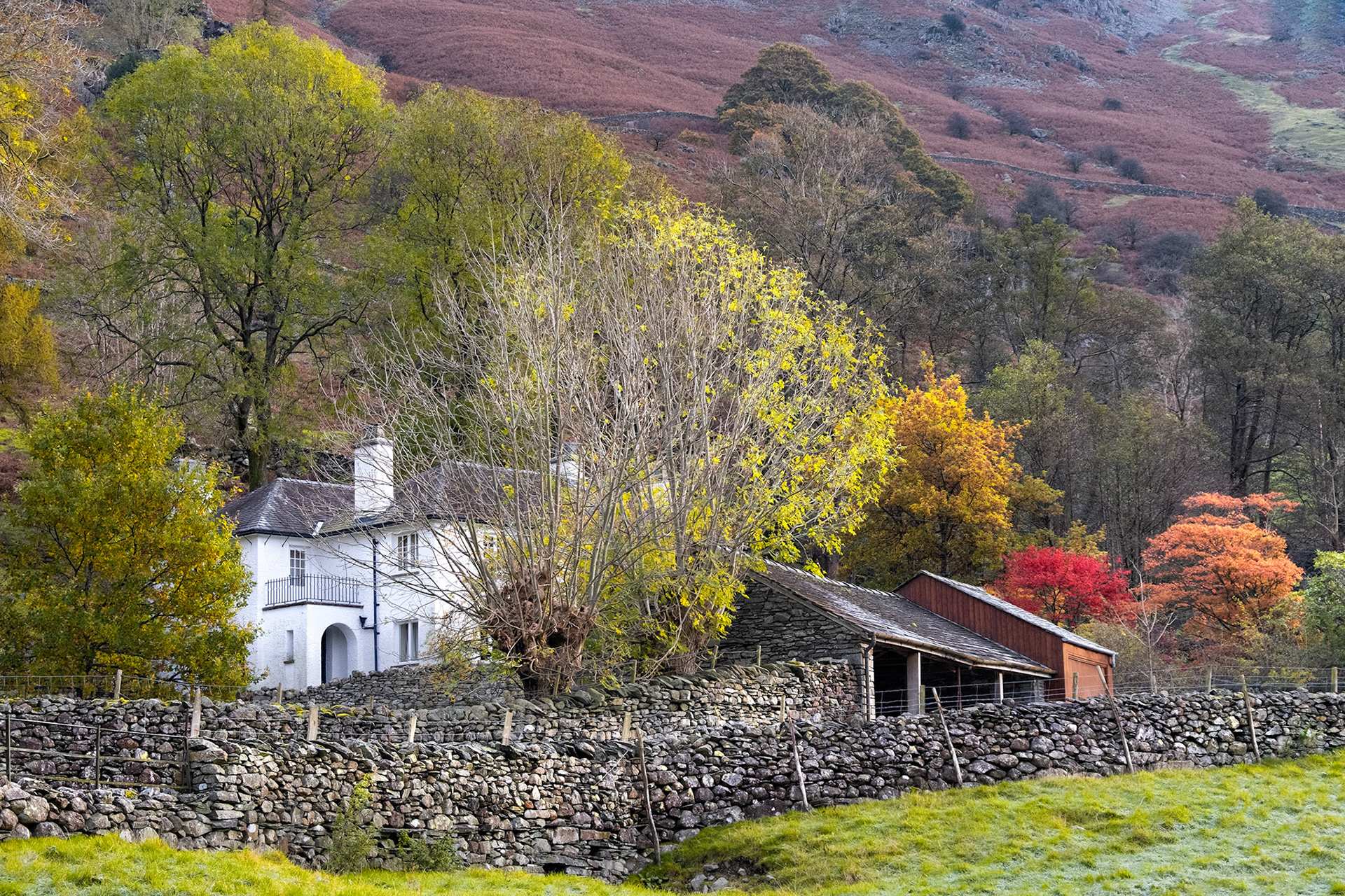 Lake District, Langdale Valley, Autumn