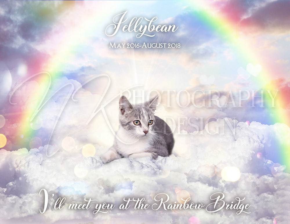 A perfect, thoughtful gift for someone who lost a fur baby. 8X10" $25