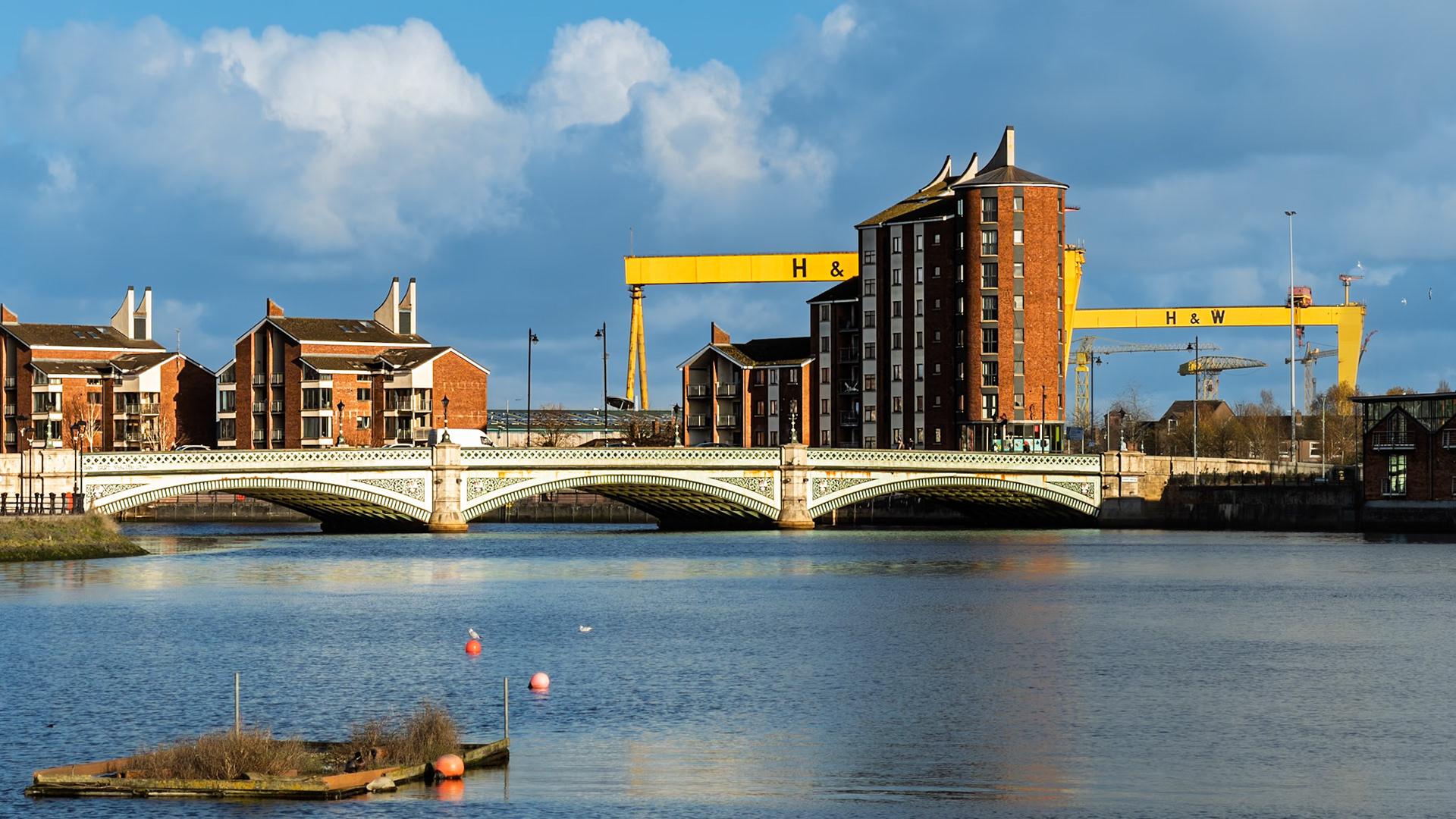 20251119 - Albert Bridge