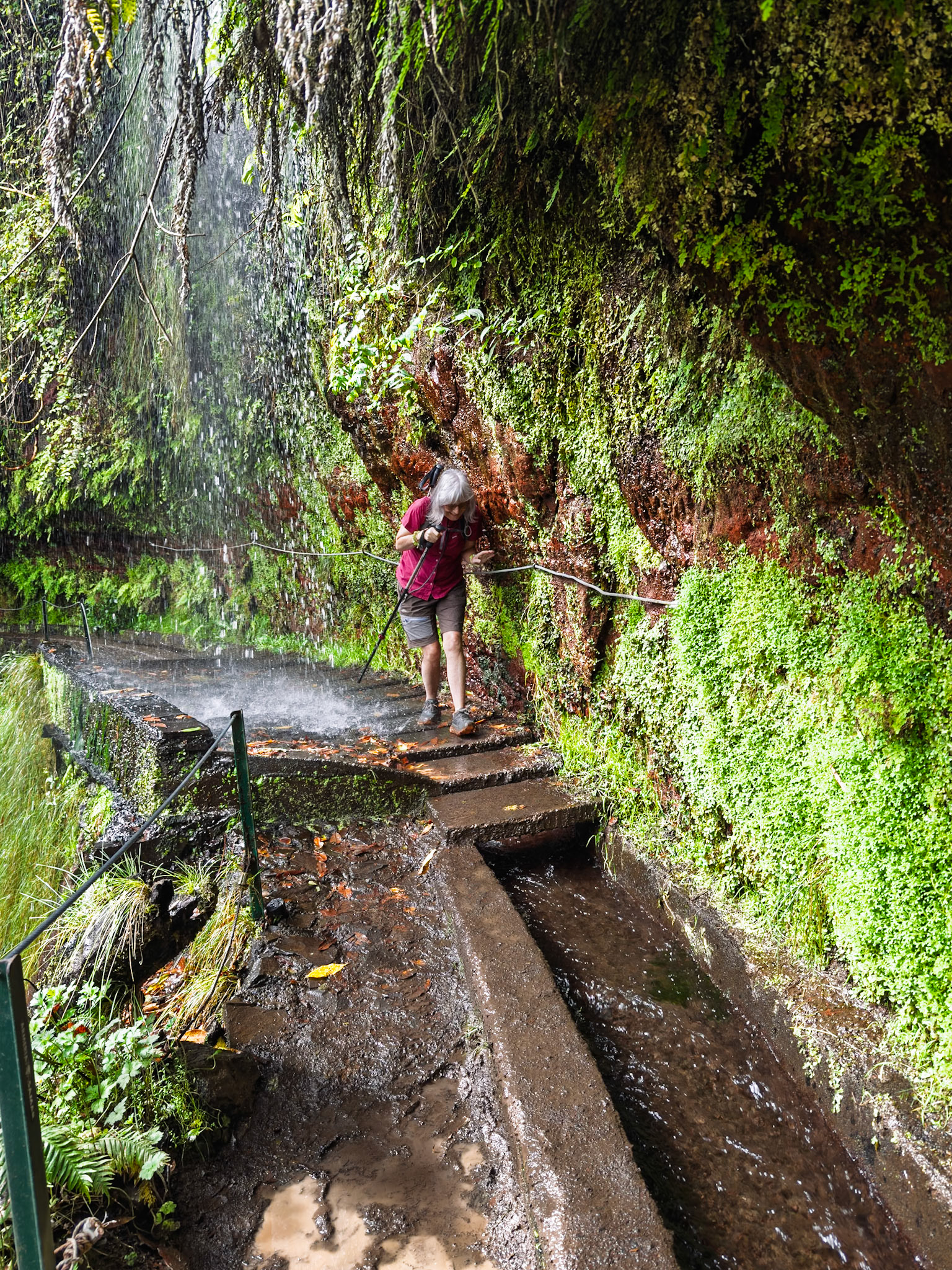 20251011 - Kings Levada