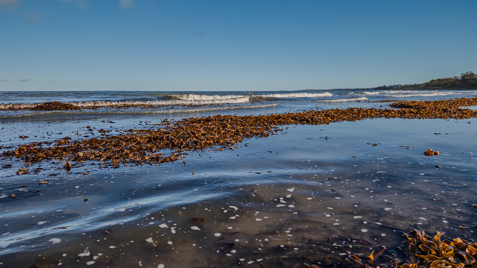 20251125 - Crawfordsburn