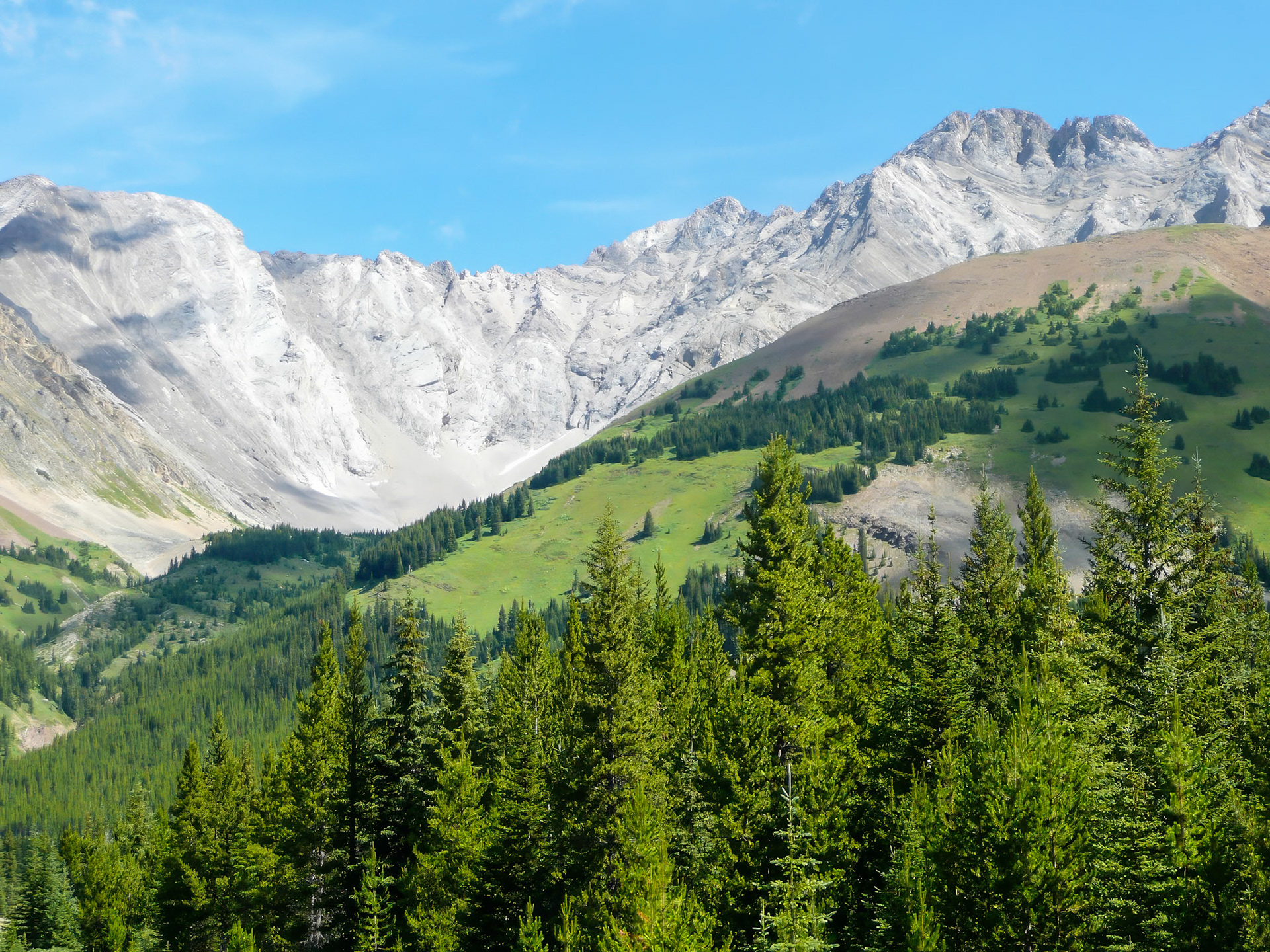 Vancouver duplicate (11156)