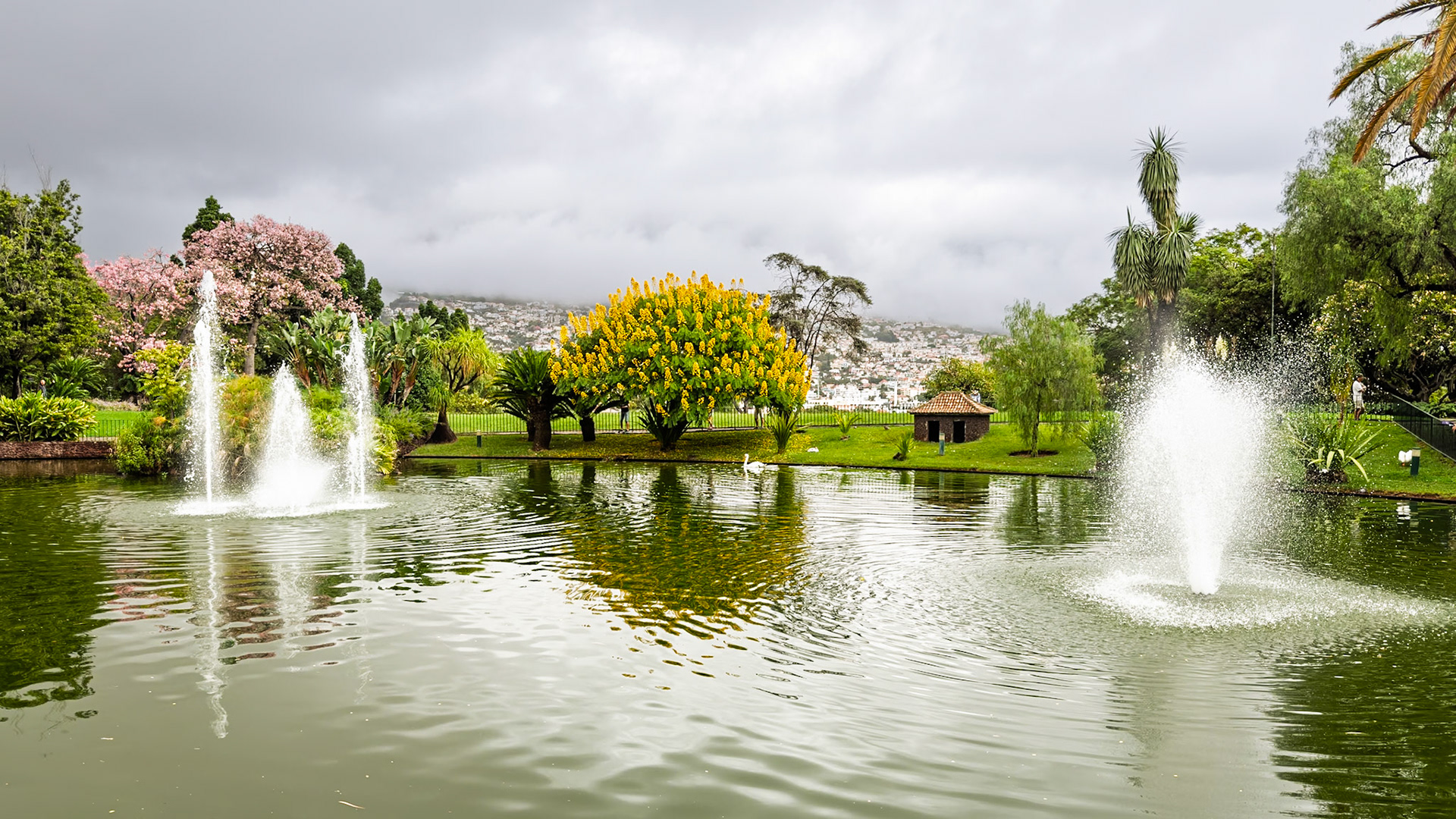 20251017 - Santa Catarina Park