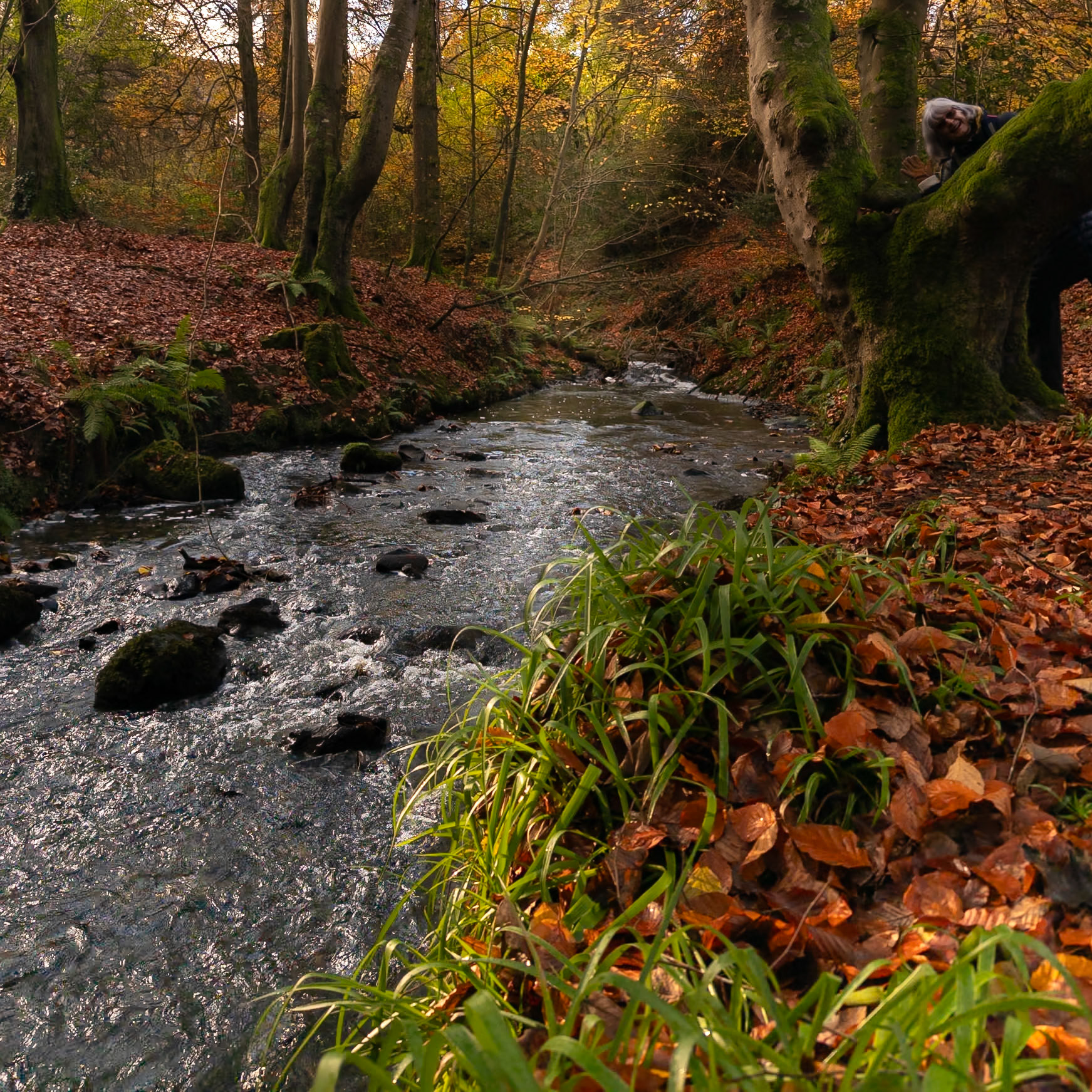 20251125 - Crawfordsburn